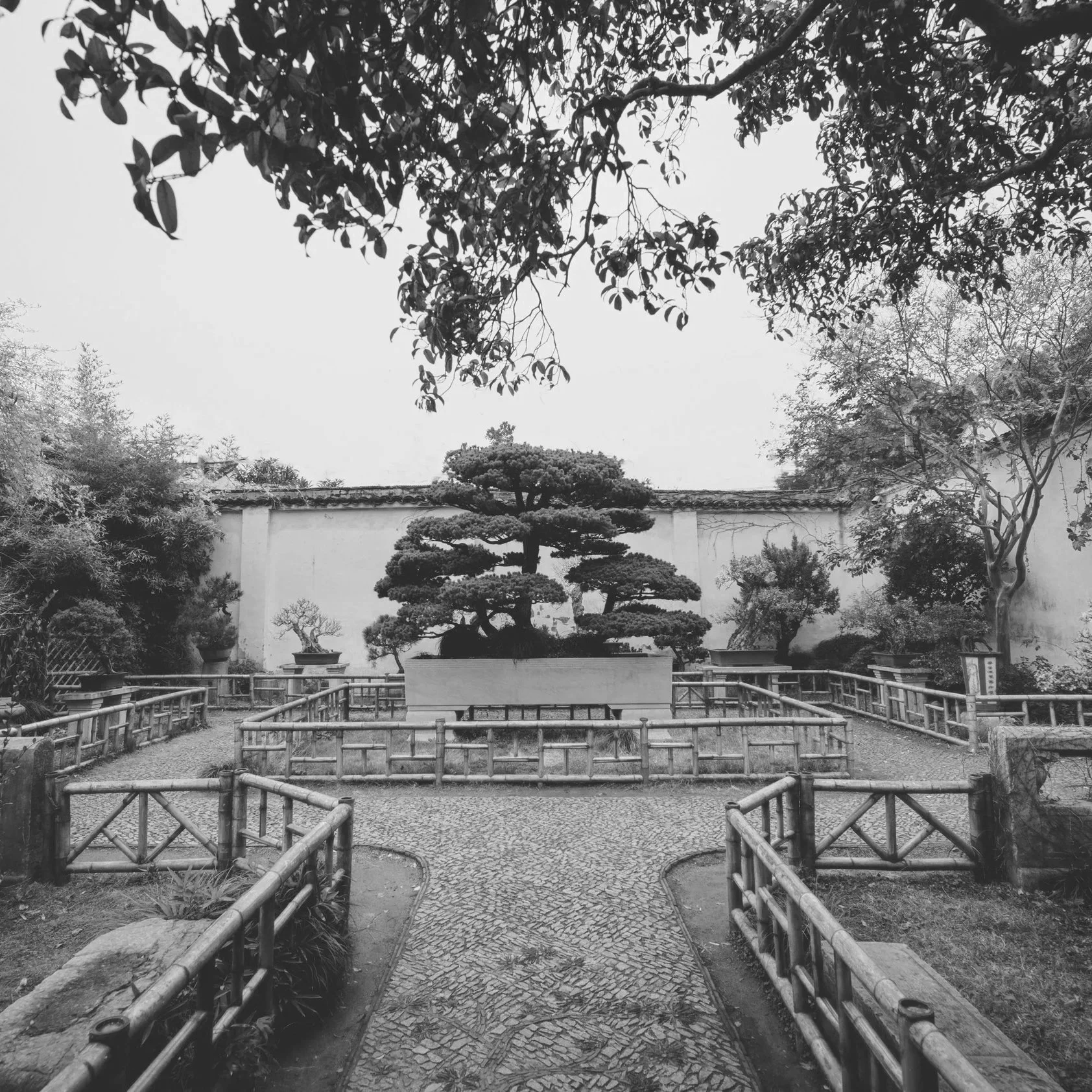 Becoming Yourself: Teachings on the Zen Way of Life