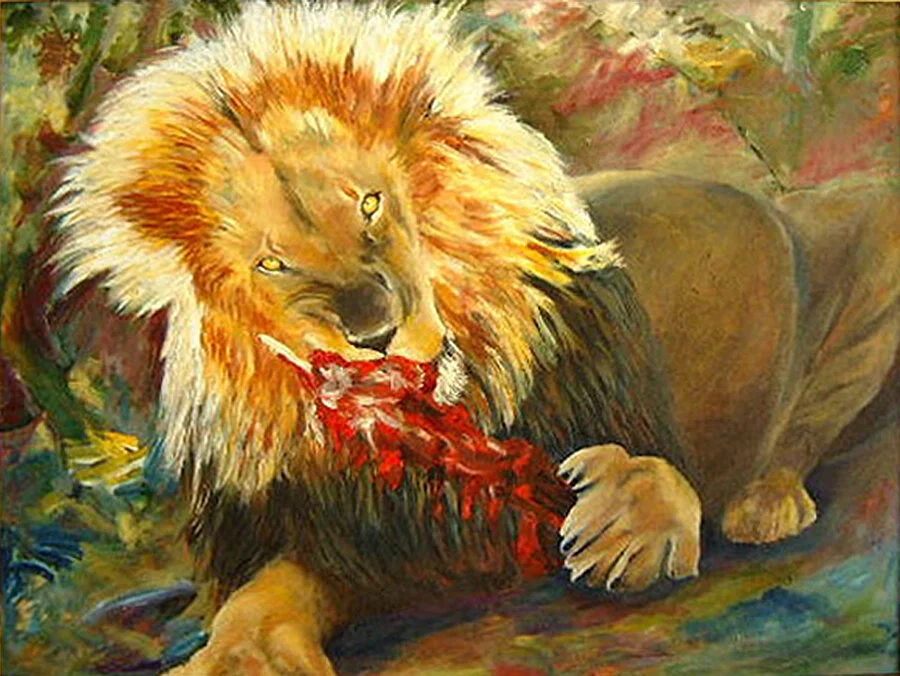 Namibia Lion