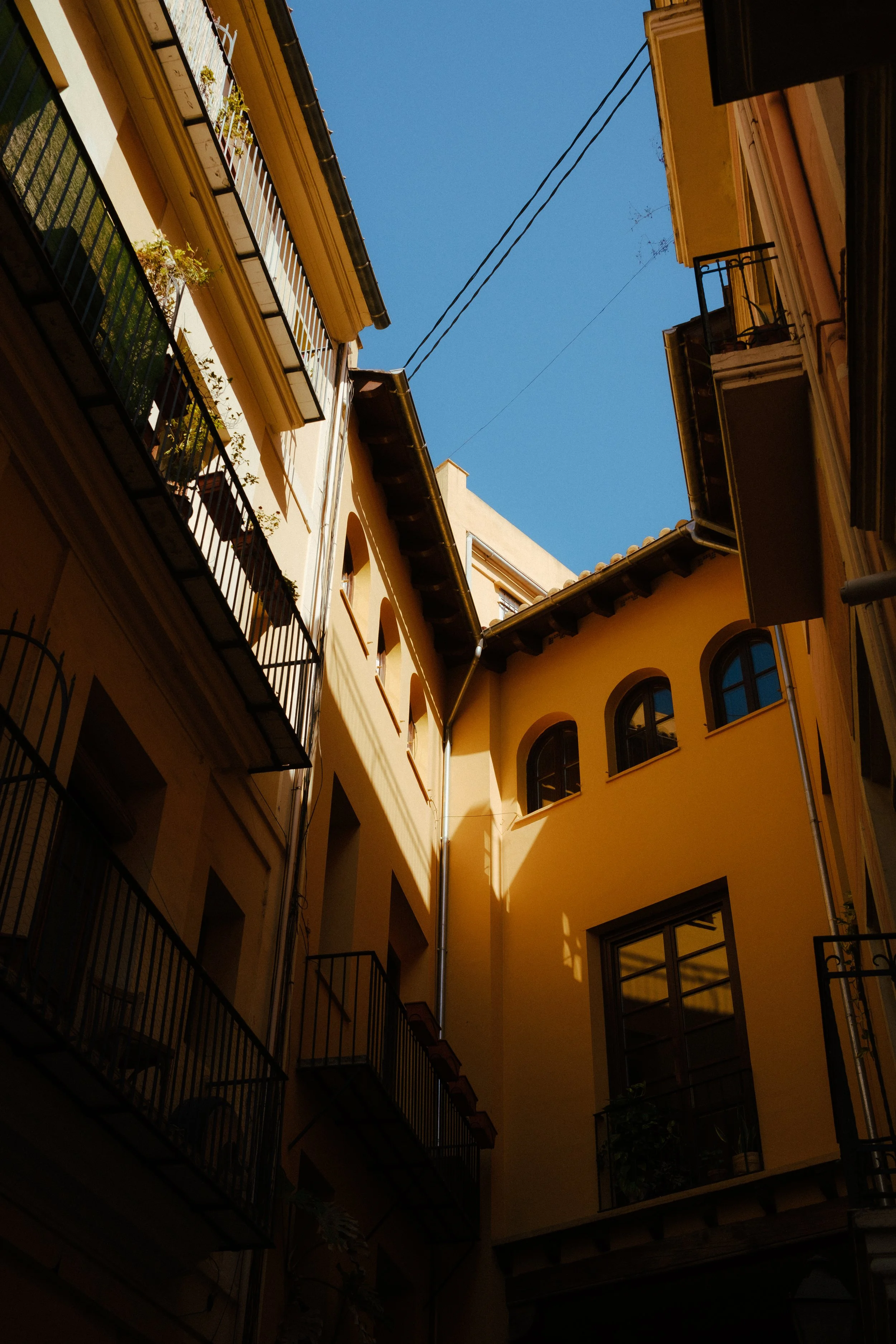 DSCF0131.jpg