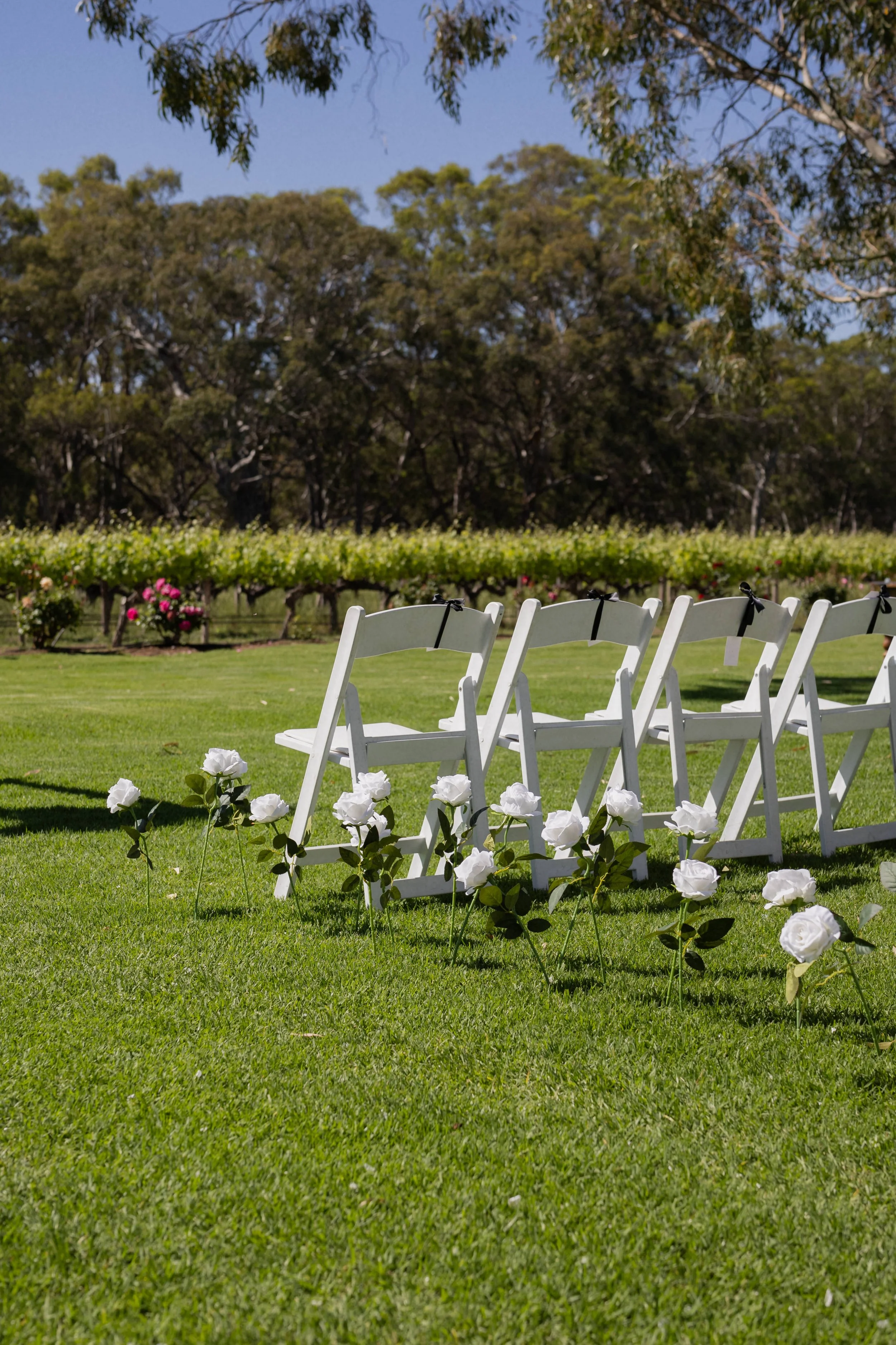 Chelsea + Josh Wedding _ Luke John Photography-253.jpg