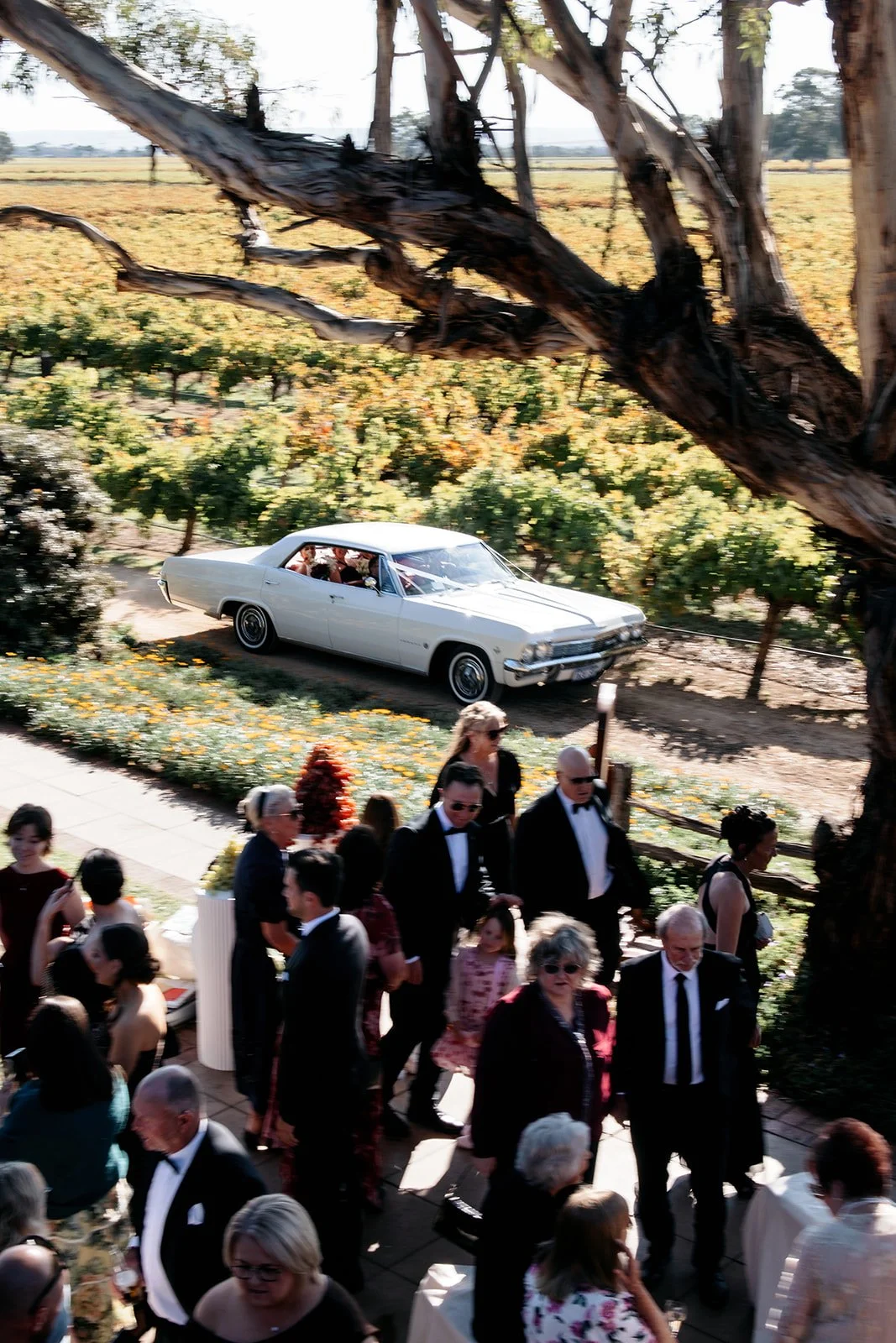 Tilly&Tyler_2026_KinshipbyKristy127_websize (1).jpg