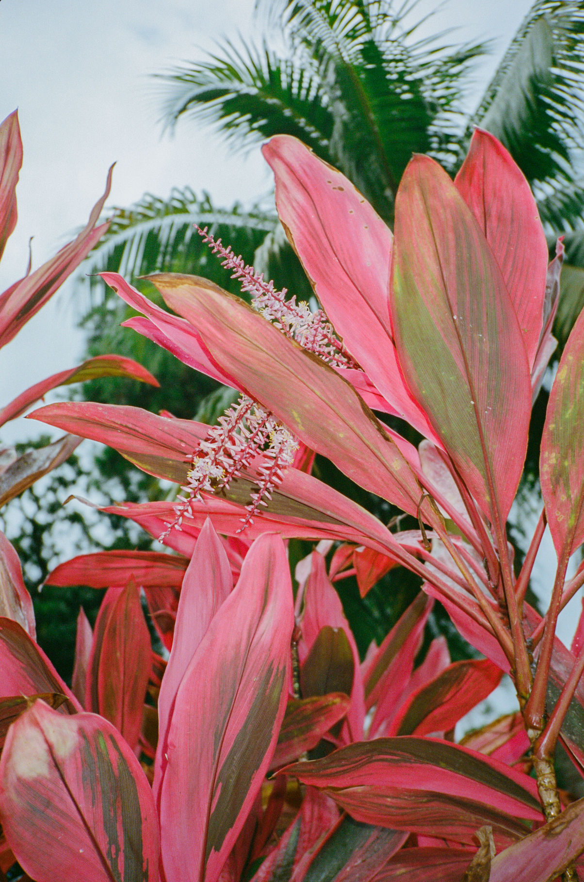 Capture d’écran 2023-09-17 à 18.49.45.png
