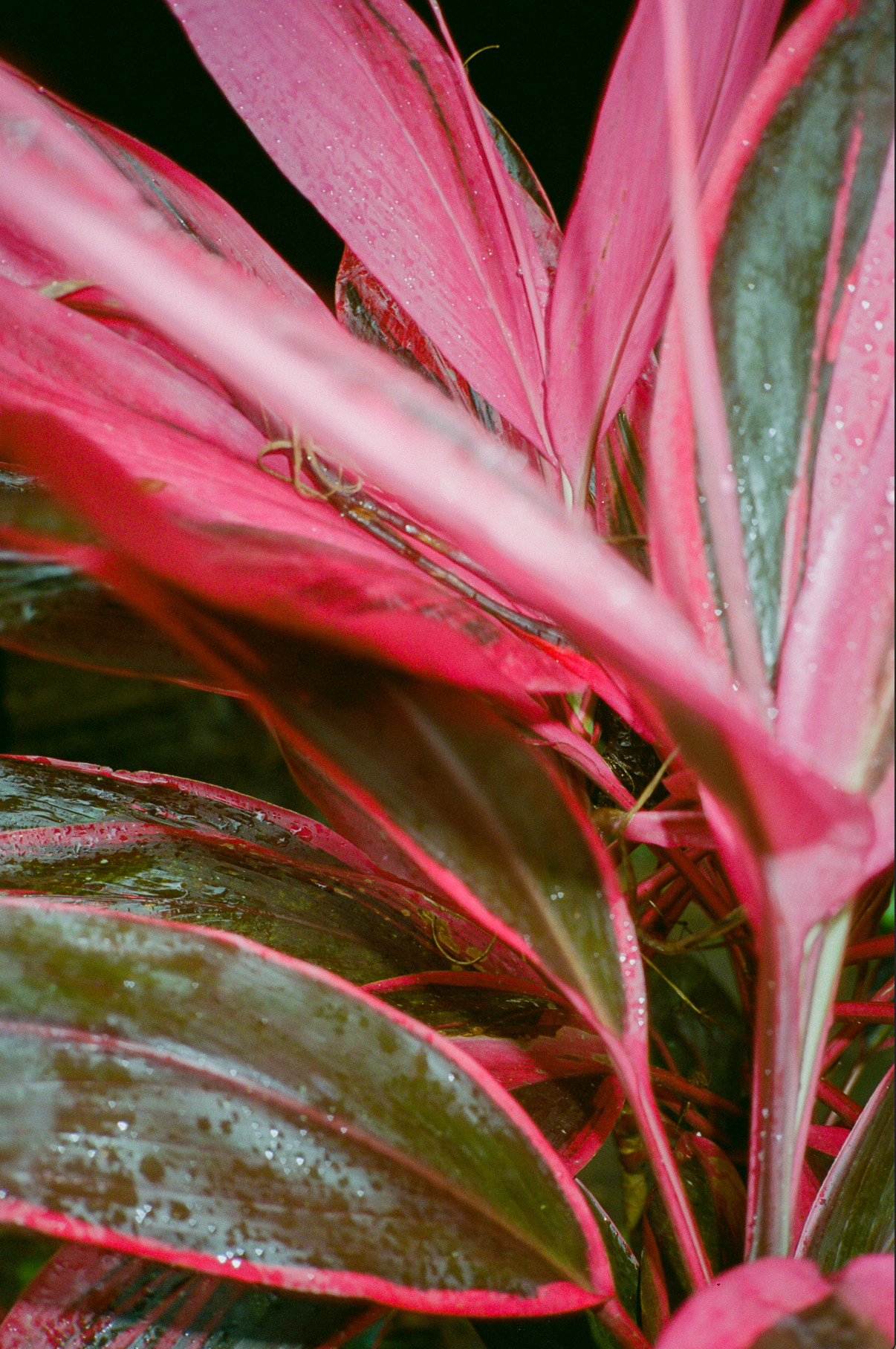 Capture d’écran 2023-09-17 à 18.50.00.png