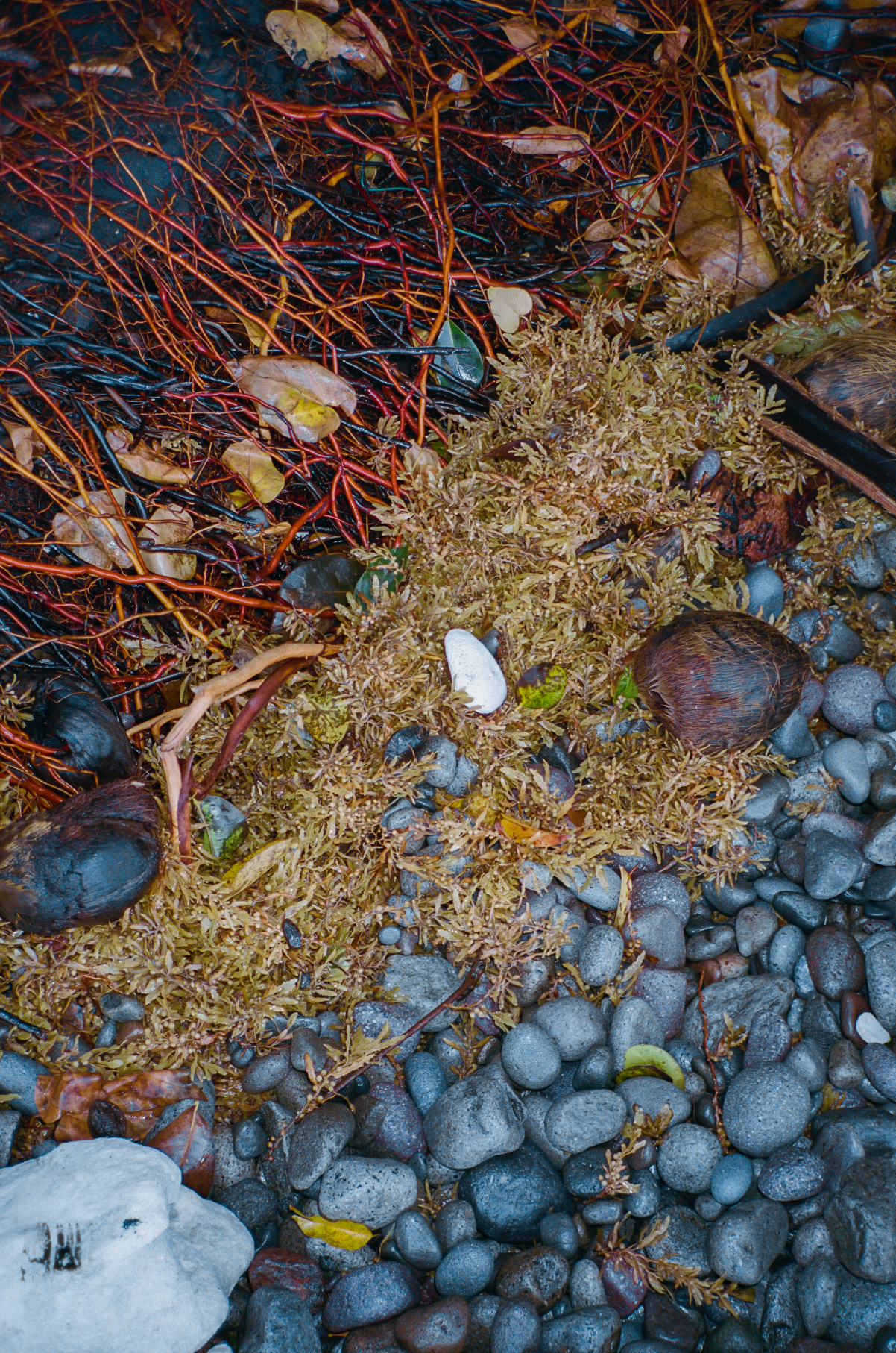 Capture d’écran 2023-09-17 à 18.50.49.png