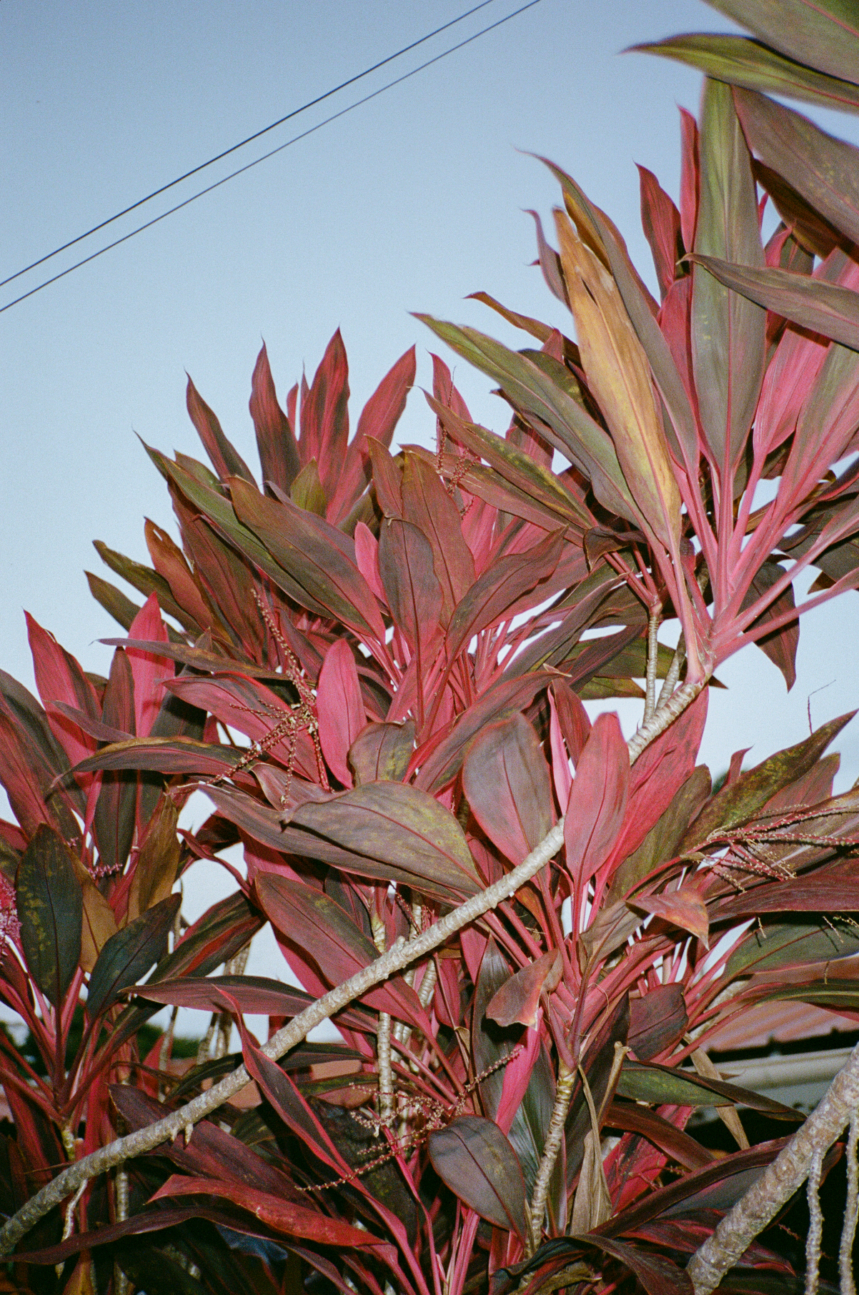 Capture d’écran 2023-09-17 à 18.51.08.png