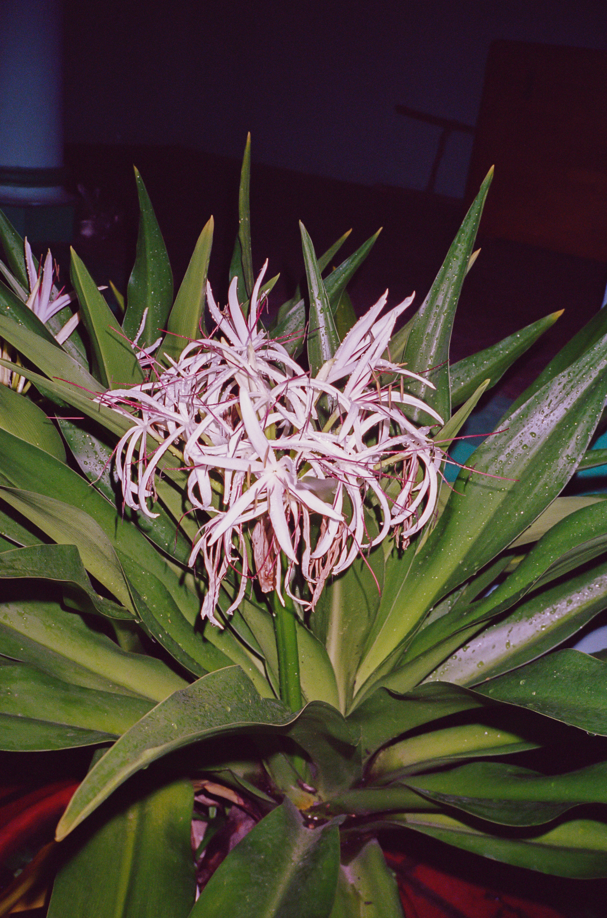 Capture d’écran 2023-09-17 à 19.03.43.png