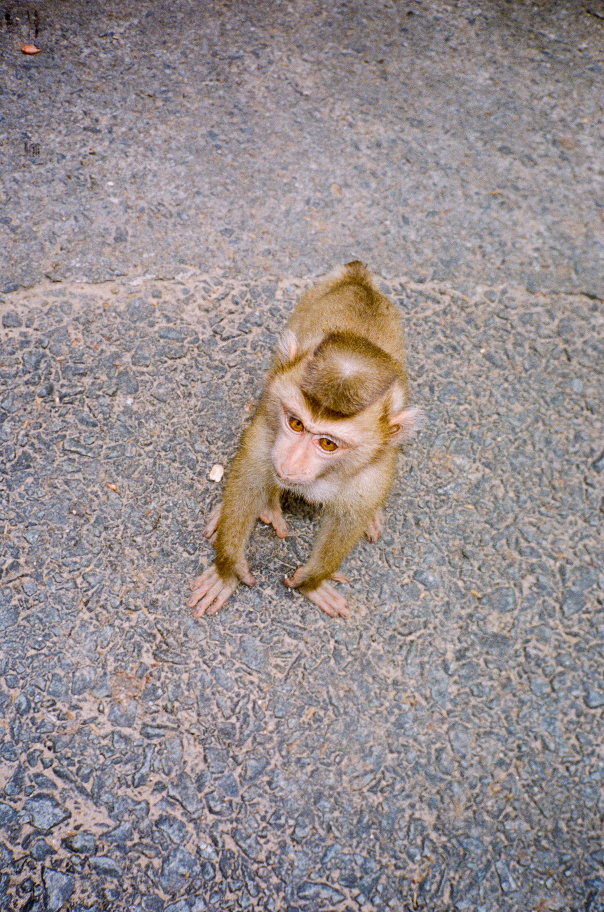 Capture d’écran 2023-09-17 à 19.09.18.png