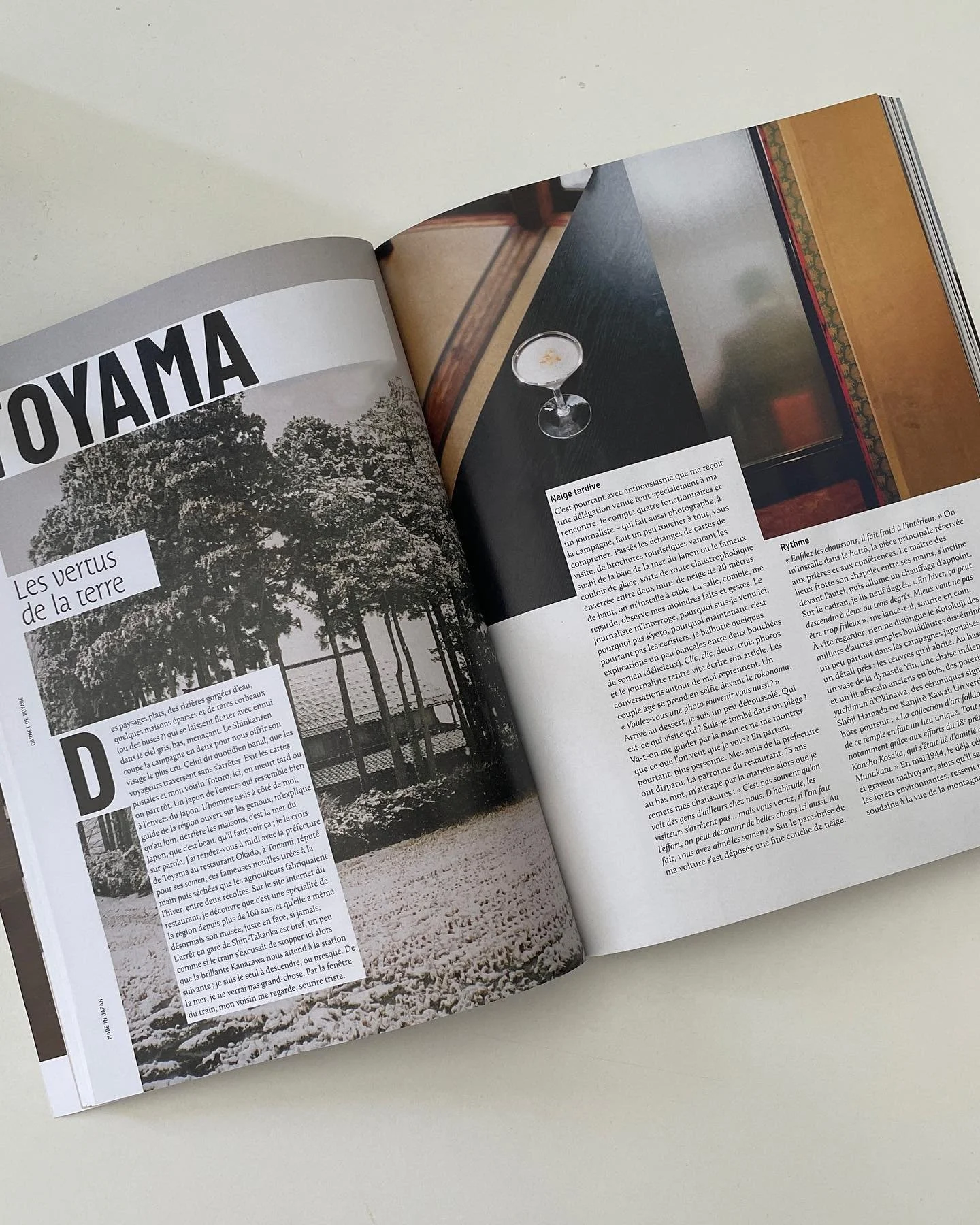 [image] - 2792281.jpeg