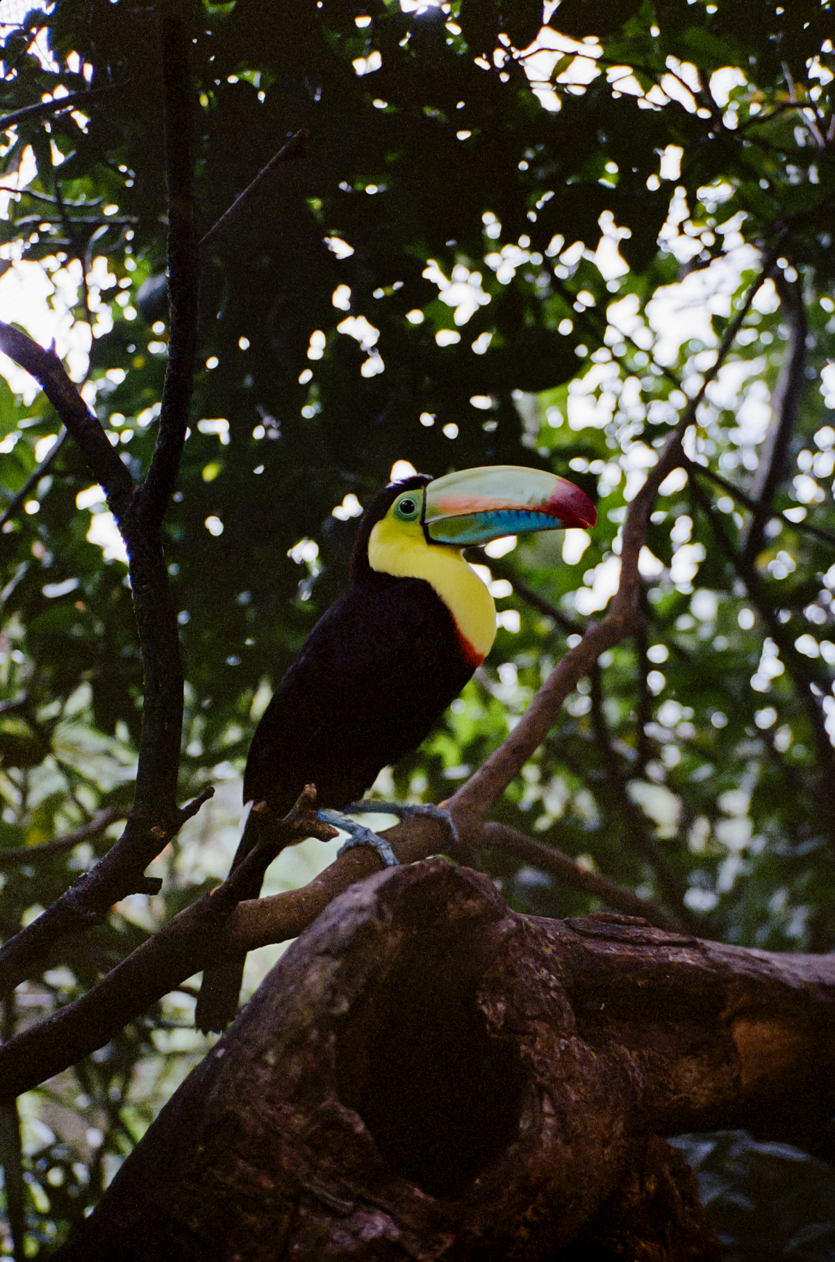 Capture d’écran 2023-09-18 à 11.09.14.png
