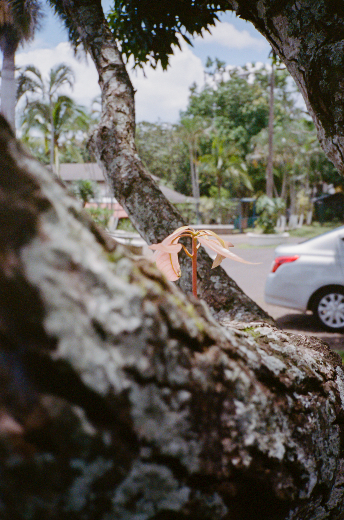 Capture d’écran 2023-09-18 à 11.09.27.png