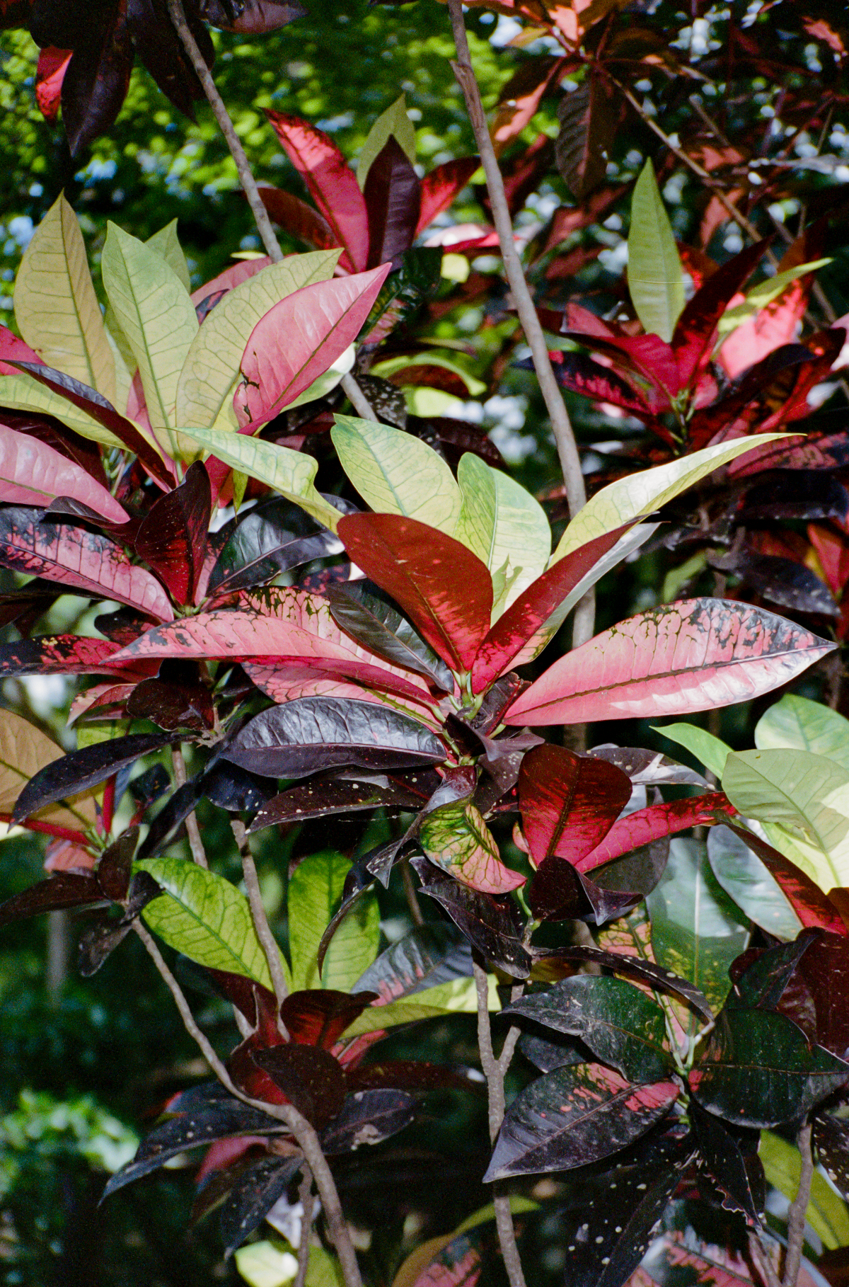 Capture d’écran 2023-09-18 à 11.09.36.png