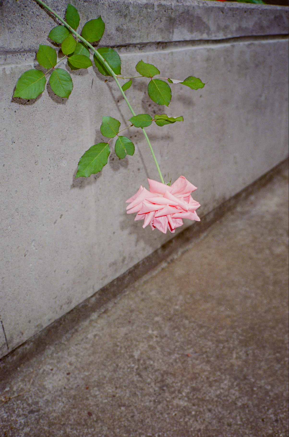 Capture d’écran 2023-09-18 à 11.09.53.png