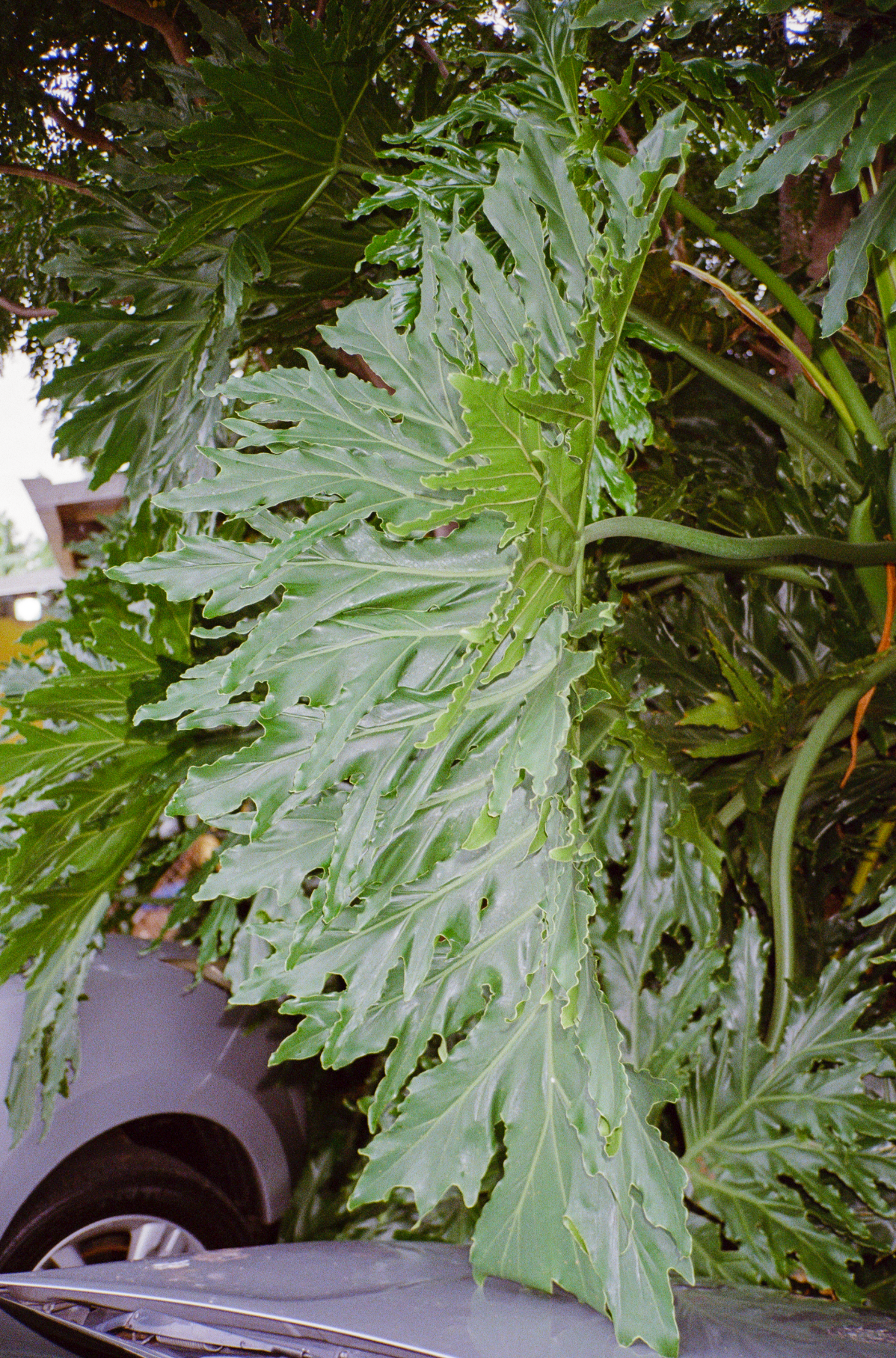 Capture d’écran 2023-09-18 à 11.10.24.png