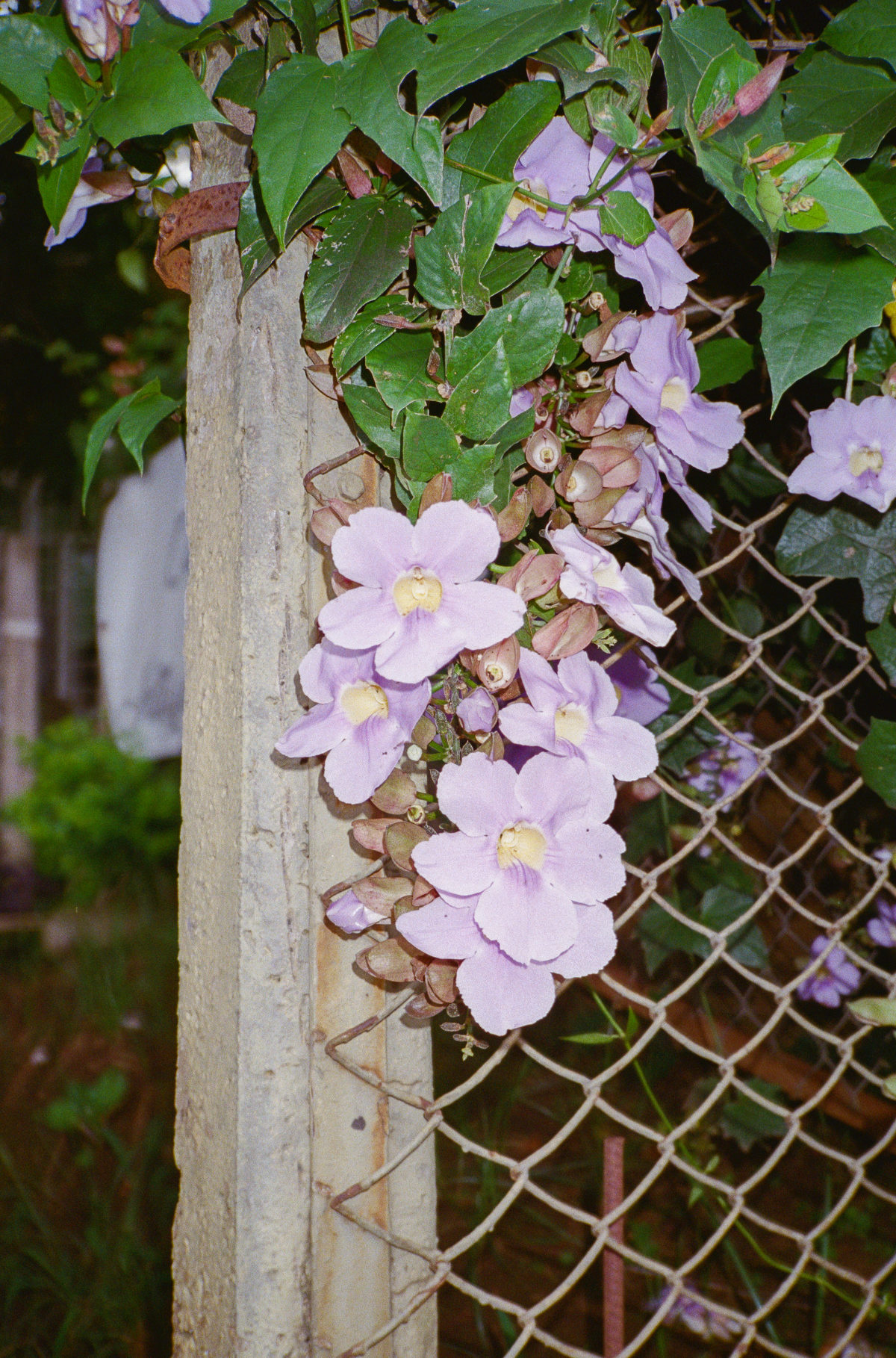 Capture d’écran 2023-09-18 à 11.10.31.png