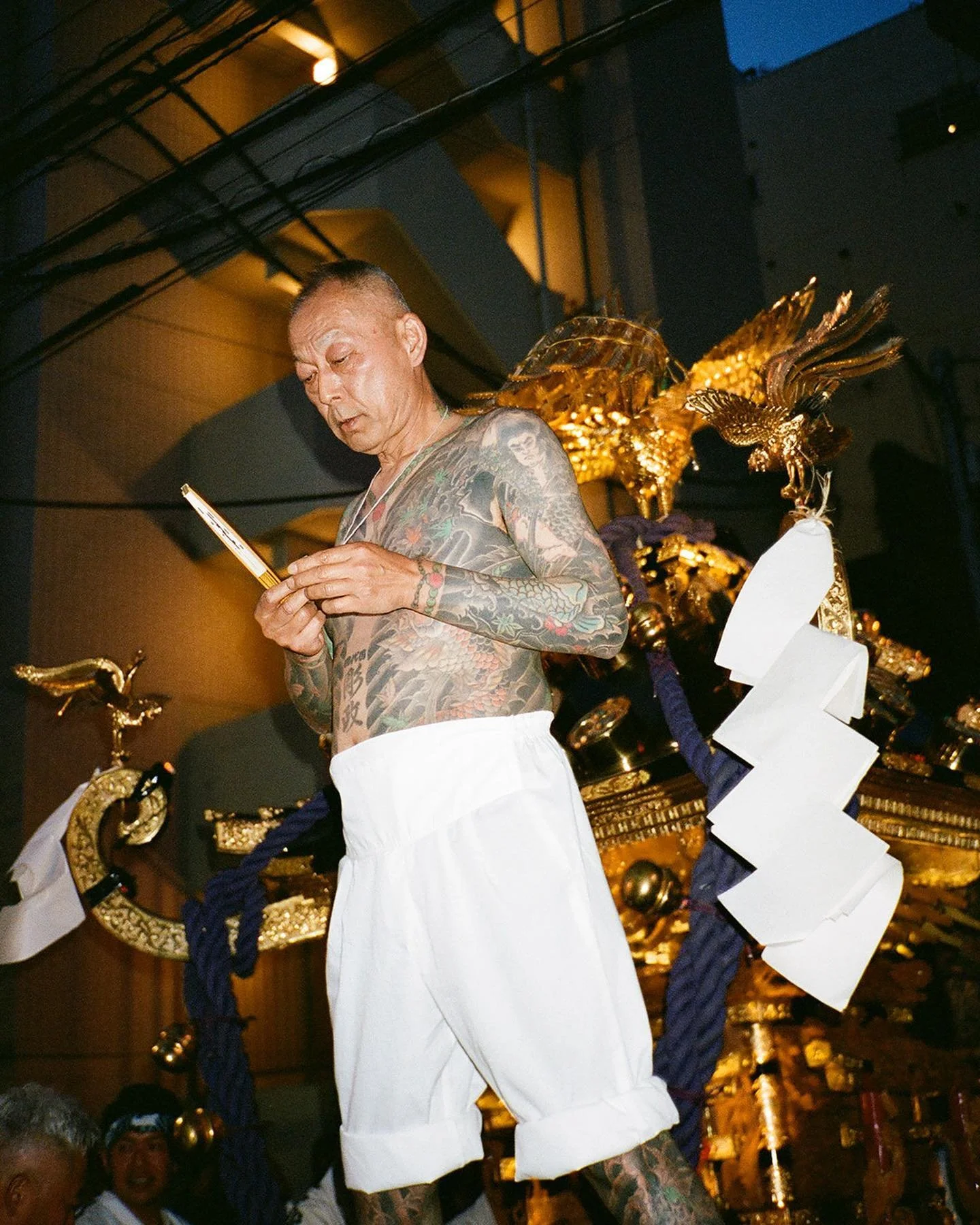 [image] - 7974388.jpeg