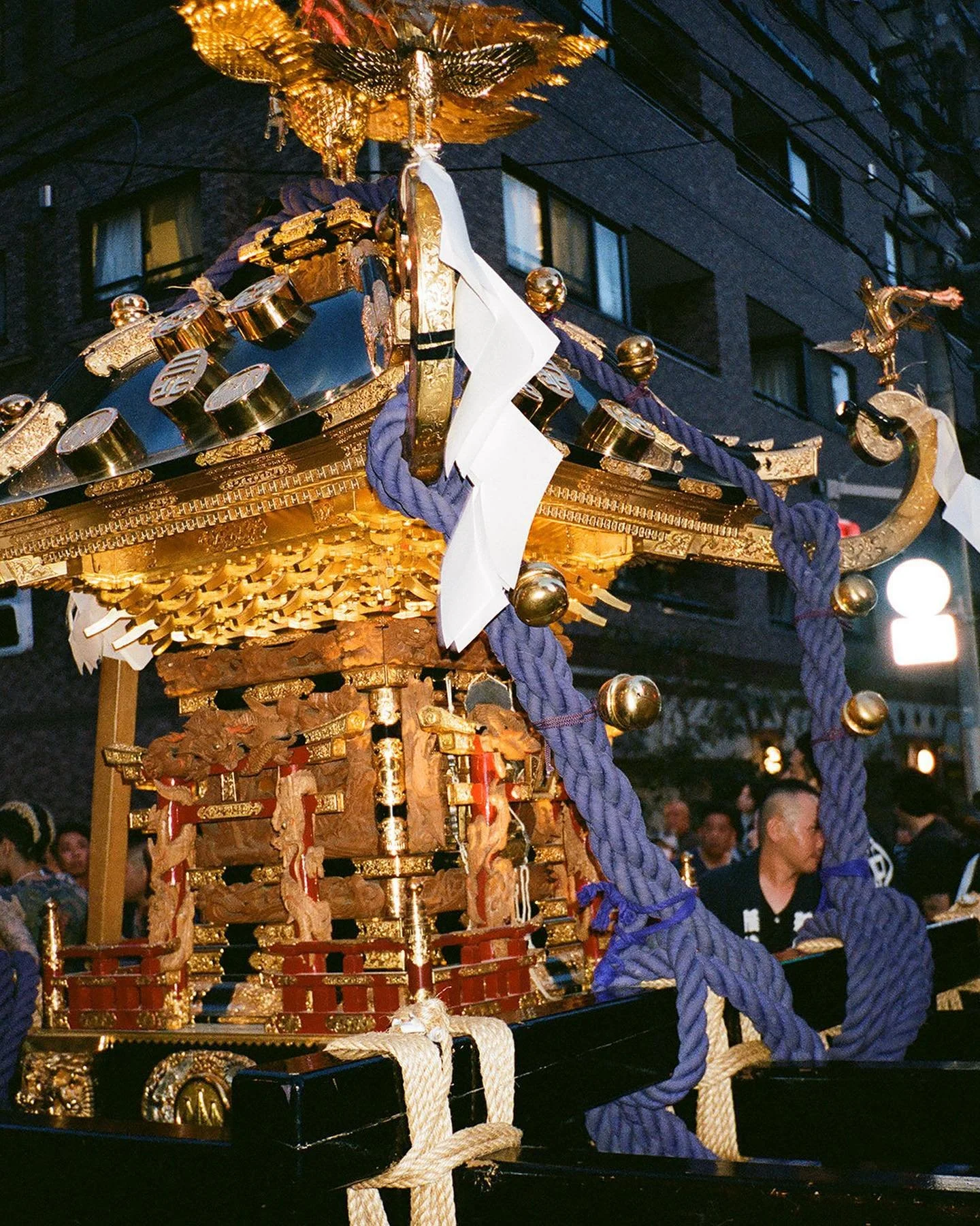 [image] - 4483212.jpeg