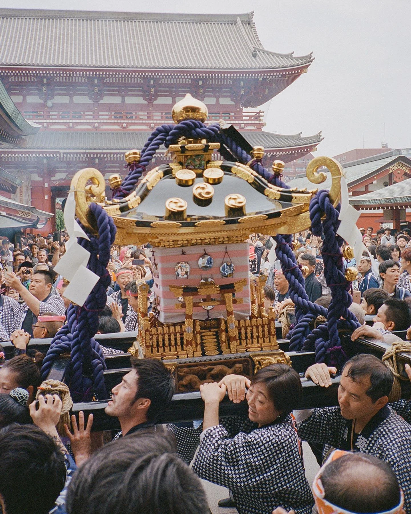 [image] - 2648683.jpeg