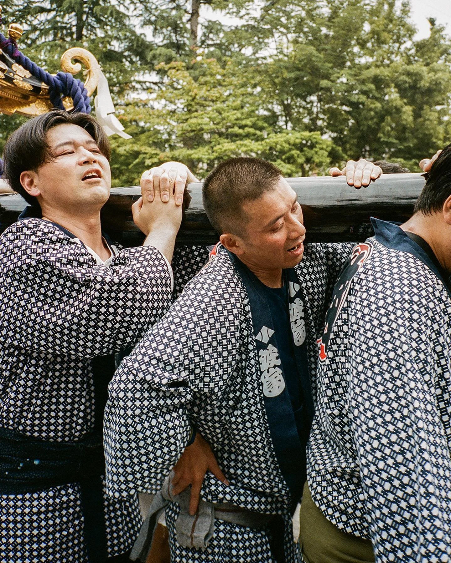 [image] - 4926494.jpeg