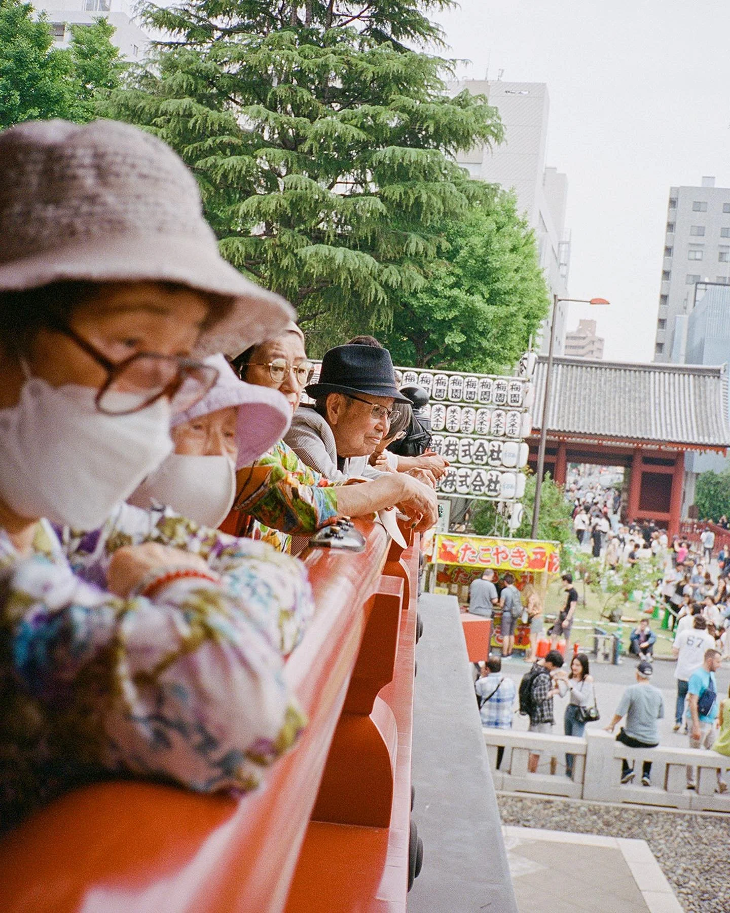 [image] - 8243006.jpeg