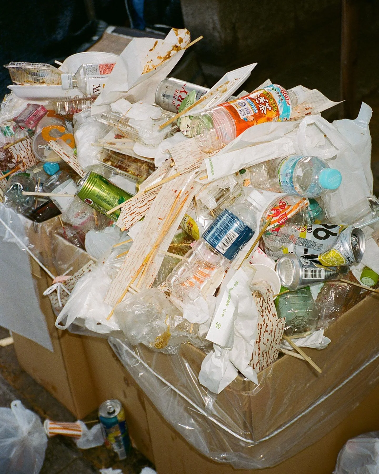 [image] - 9298965.jpeg