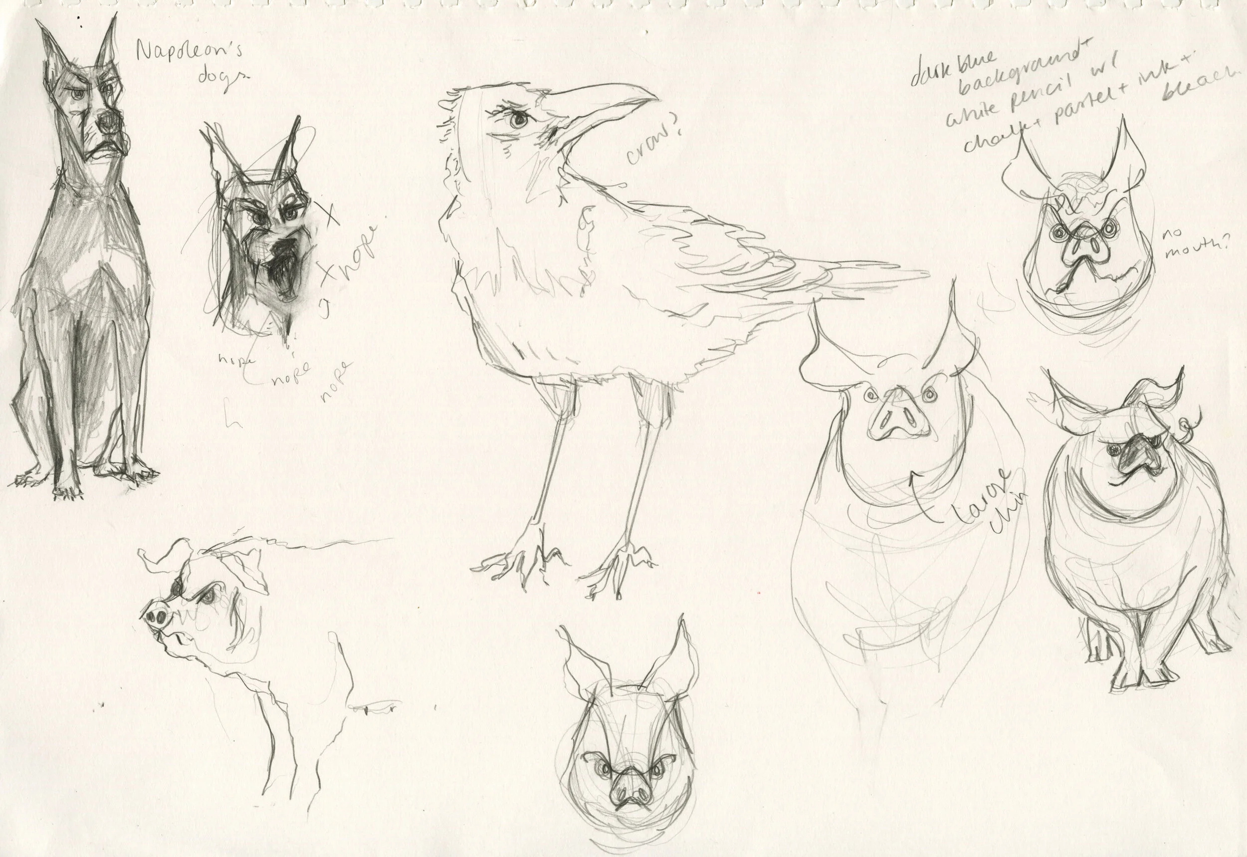 animal farm megan wilson 2.jpg