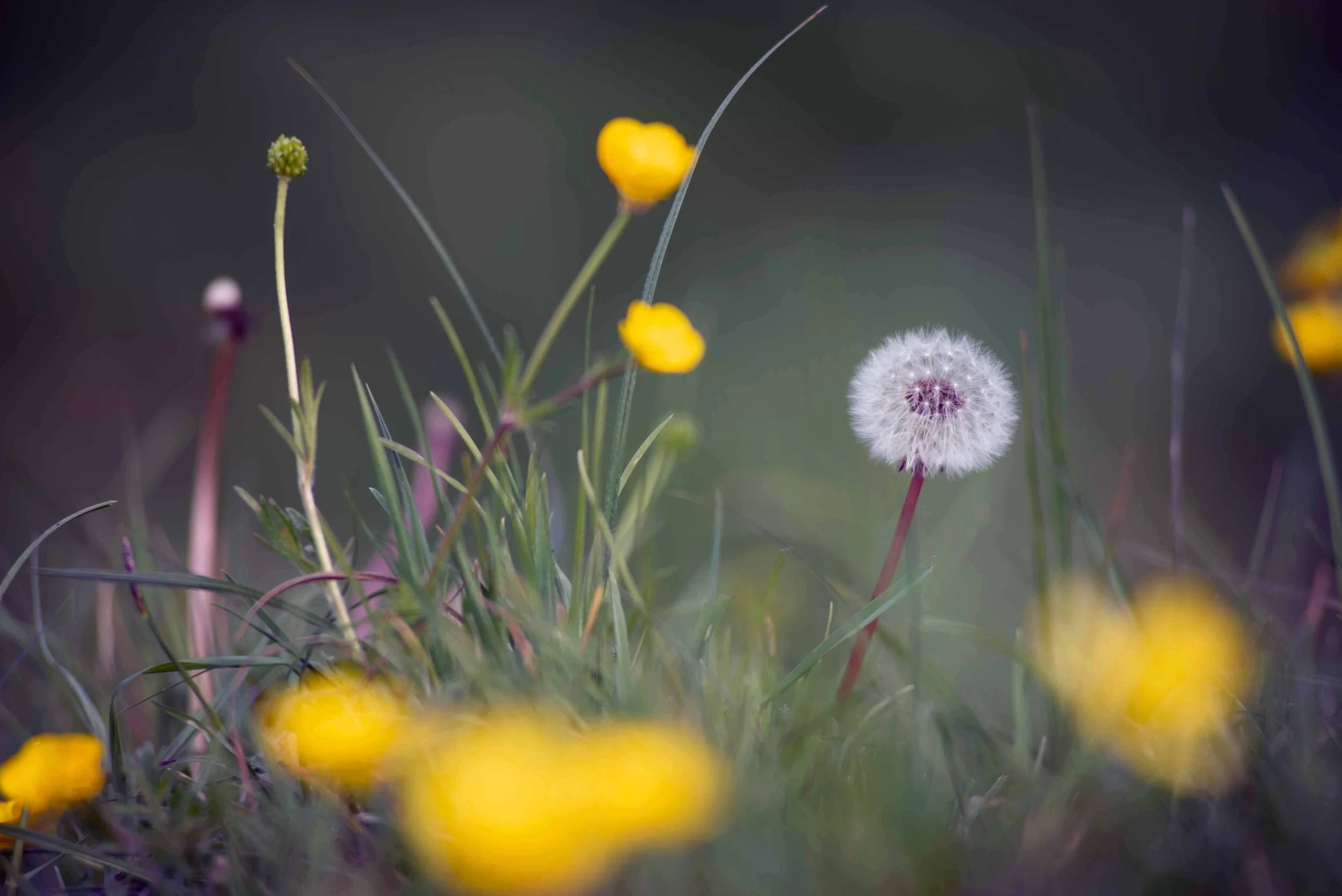 Mental Wellbeing - How can I treat anxiety naturally without medication