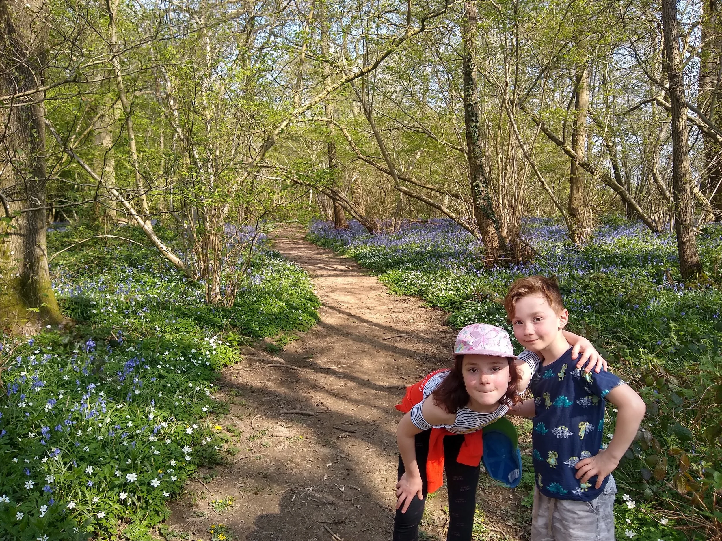 kids_bluebellwoods.jpg
