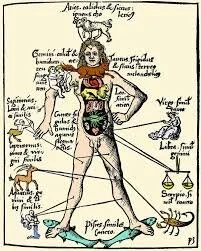 medical_A_body.jpg