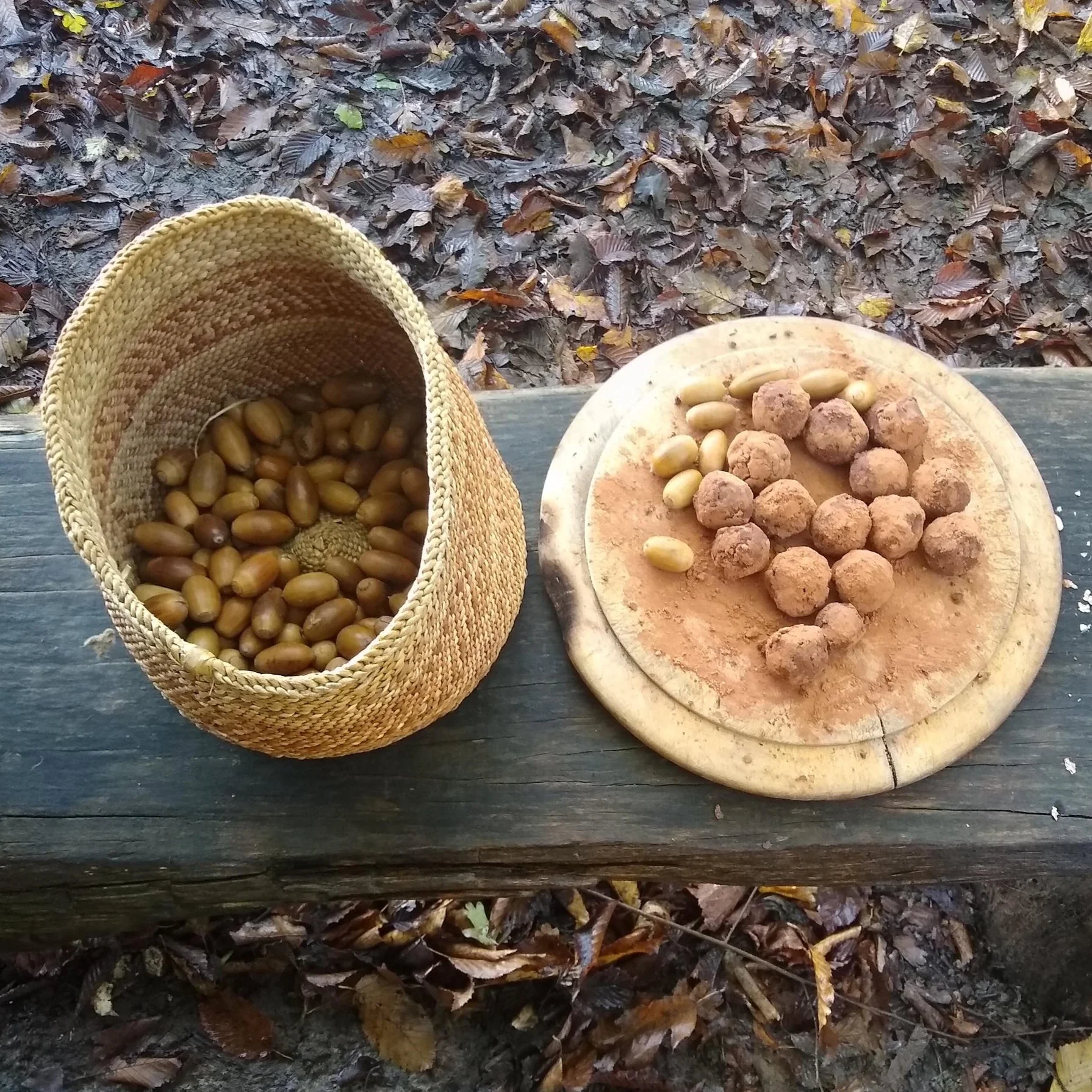 Acorn Truffles - yes there is such a thing!