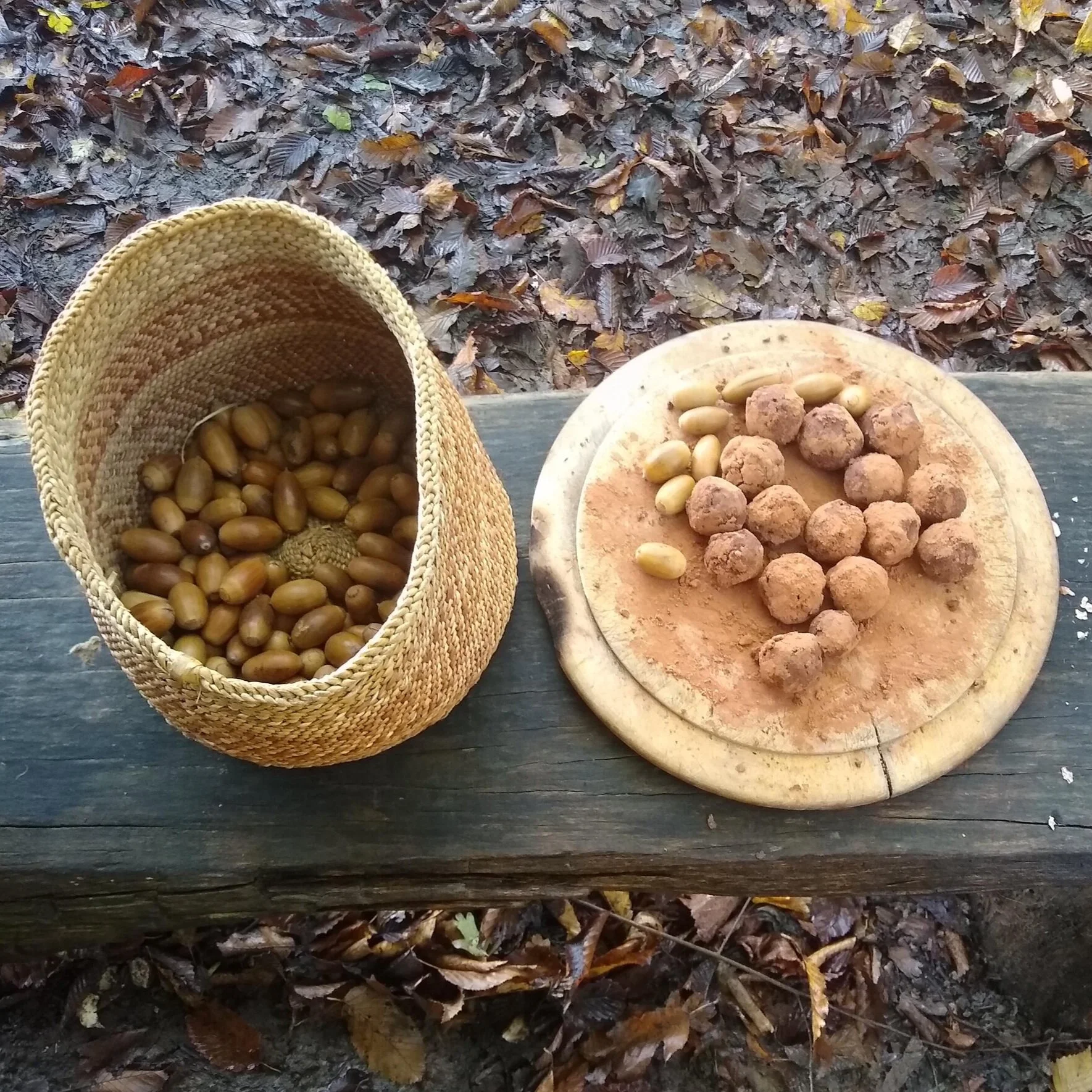The nutritional benefits of acorns