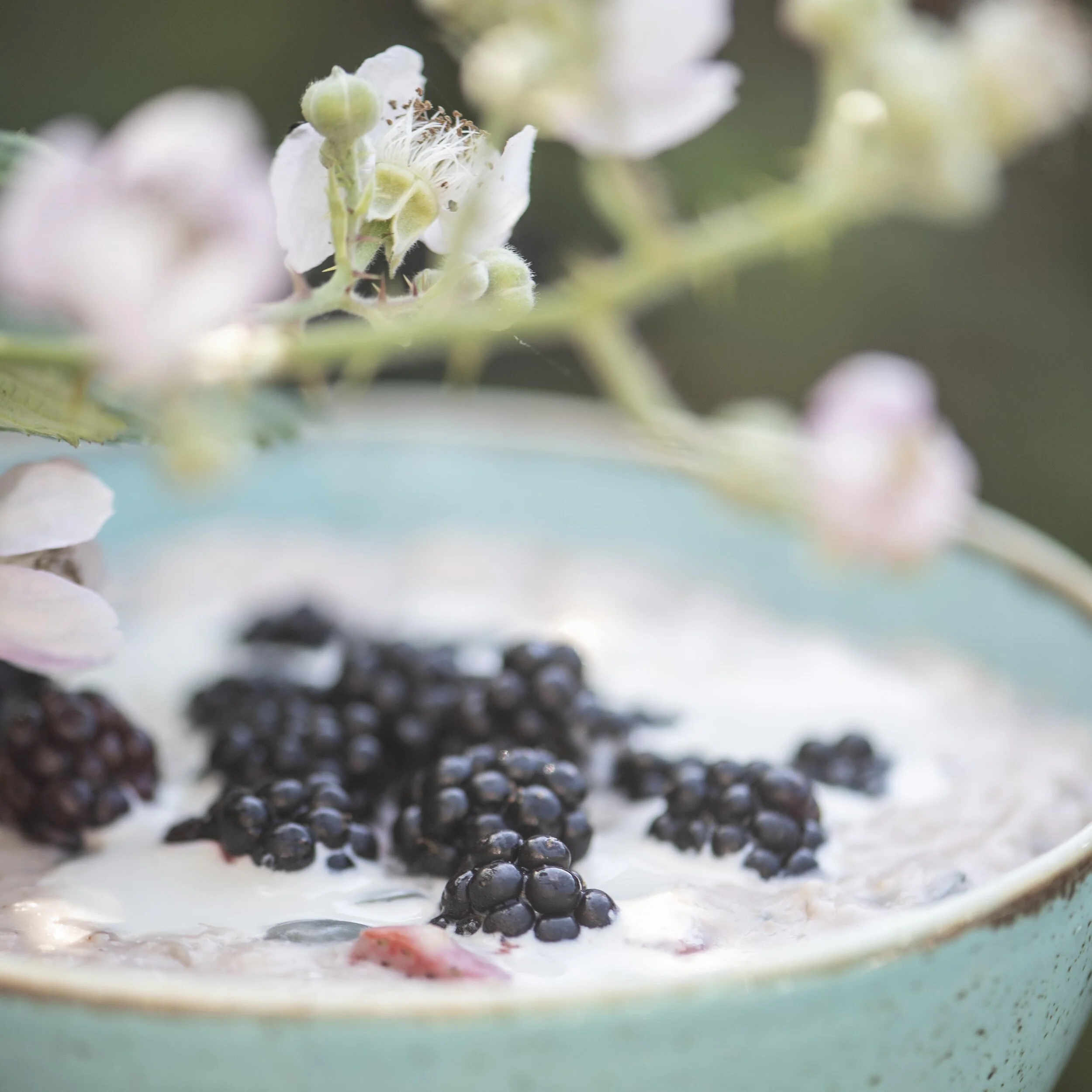 Porridge with blackberries under briar gateway.jpg