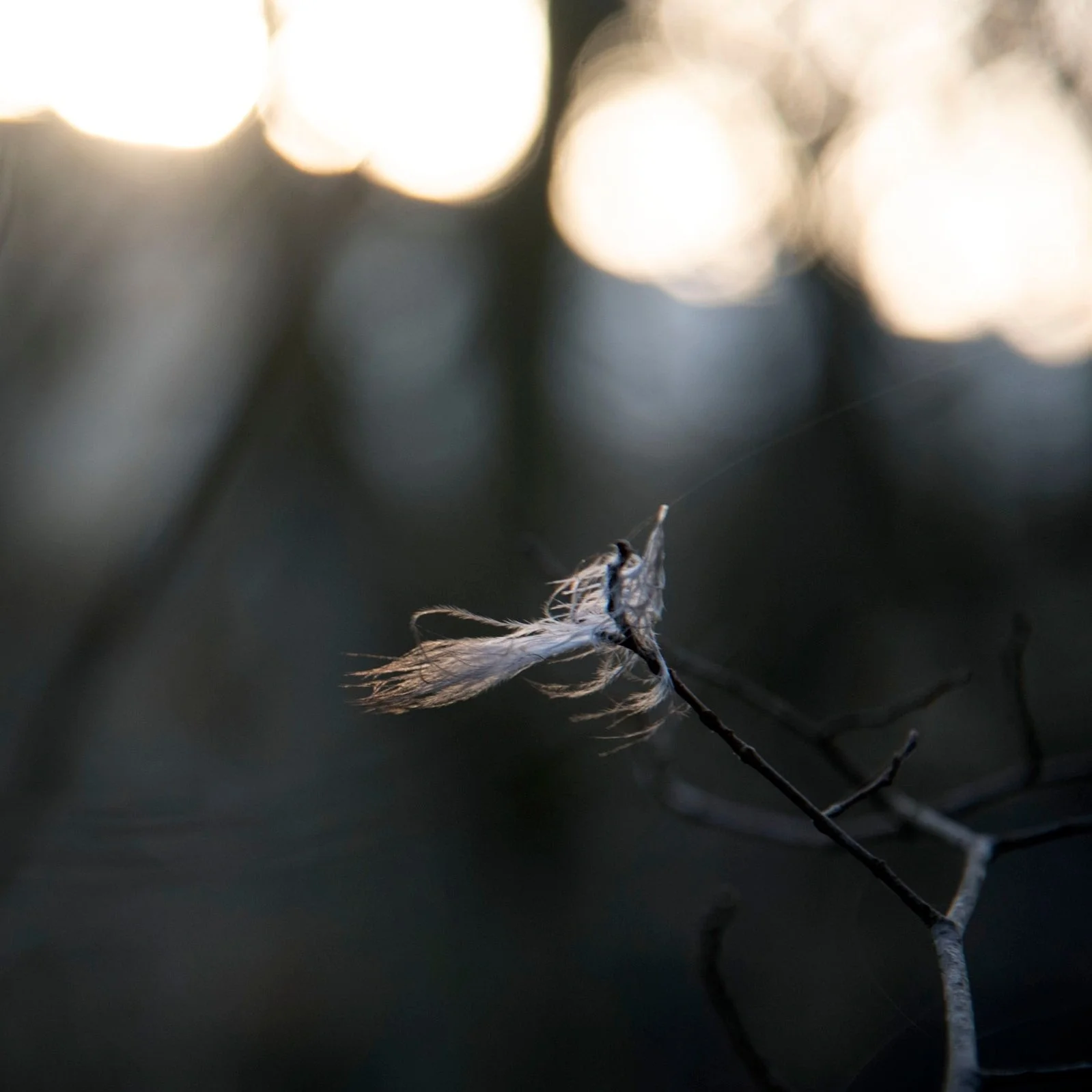 Mental Wellbeing - how do i deal with depression during menopause