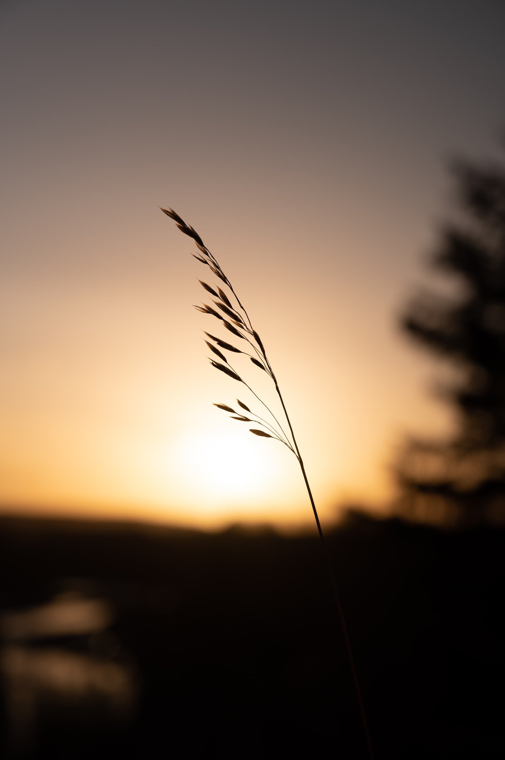 Mental Wellbeing - My Grief Letter to my dead father