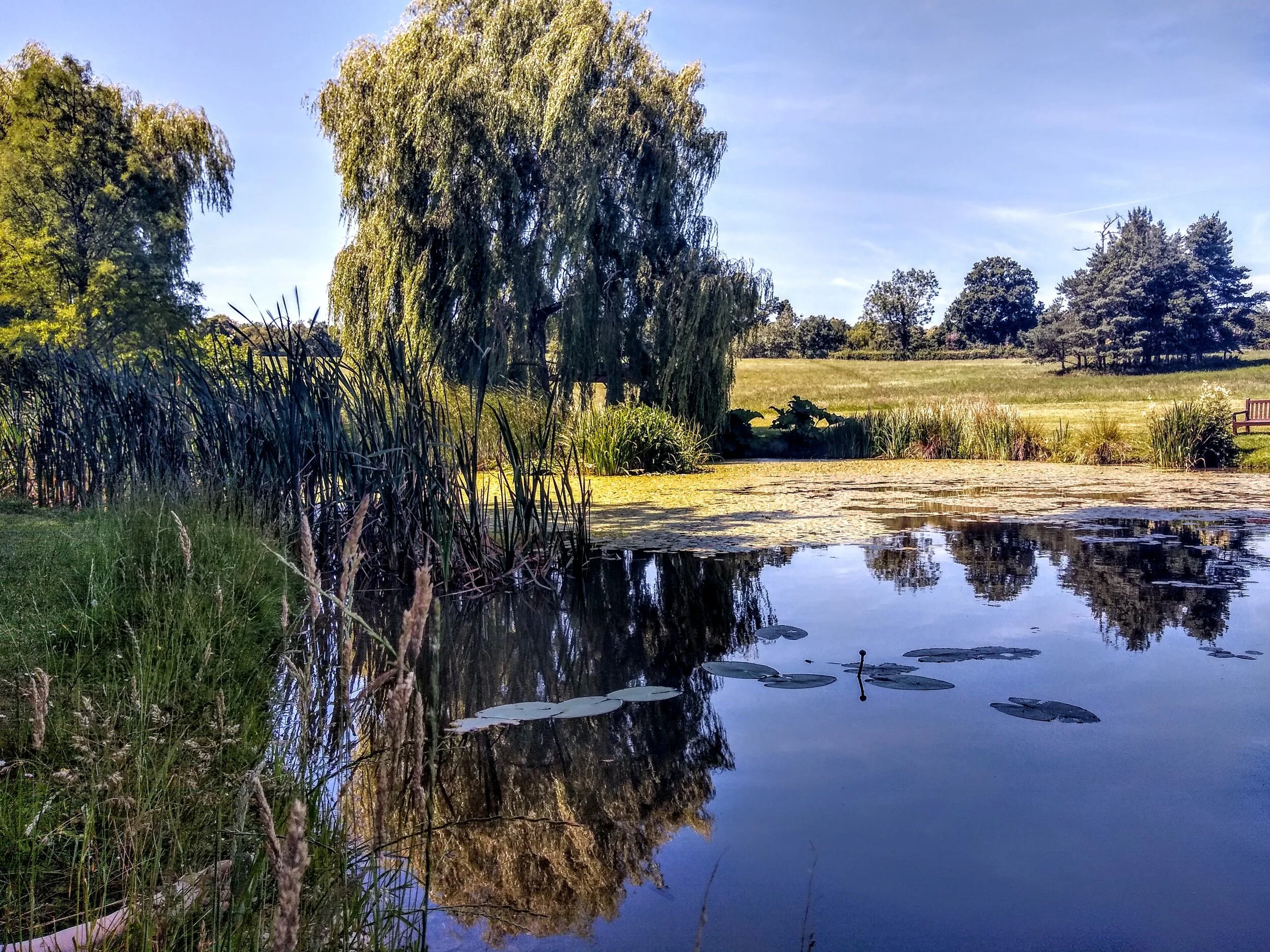 IMG_20190704_145244987_HDR.jpg