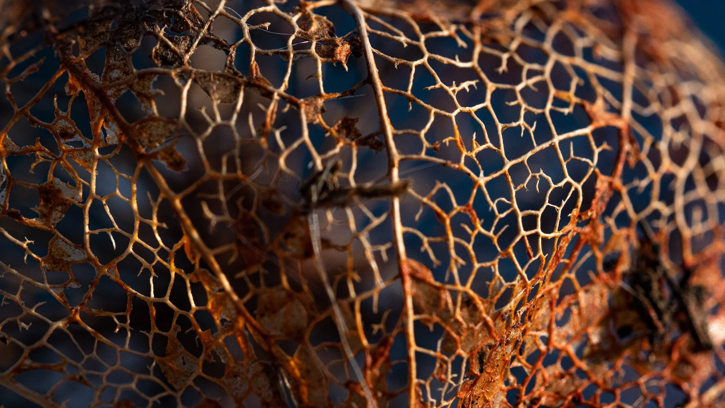 Spiritual Wellbeing - Why is Sensitivity a superpower