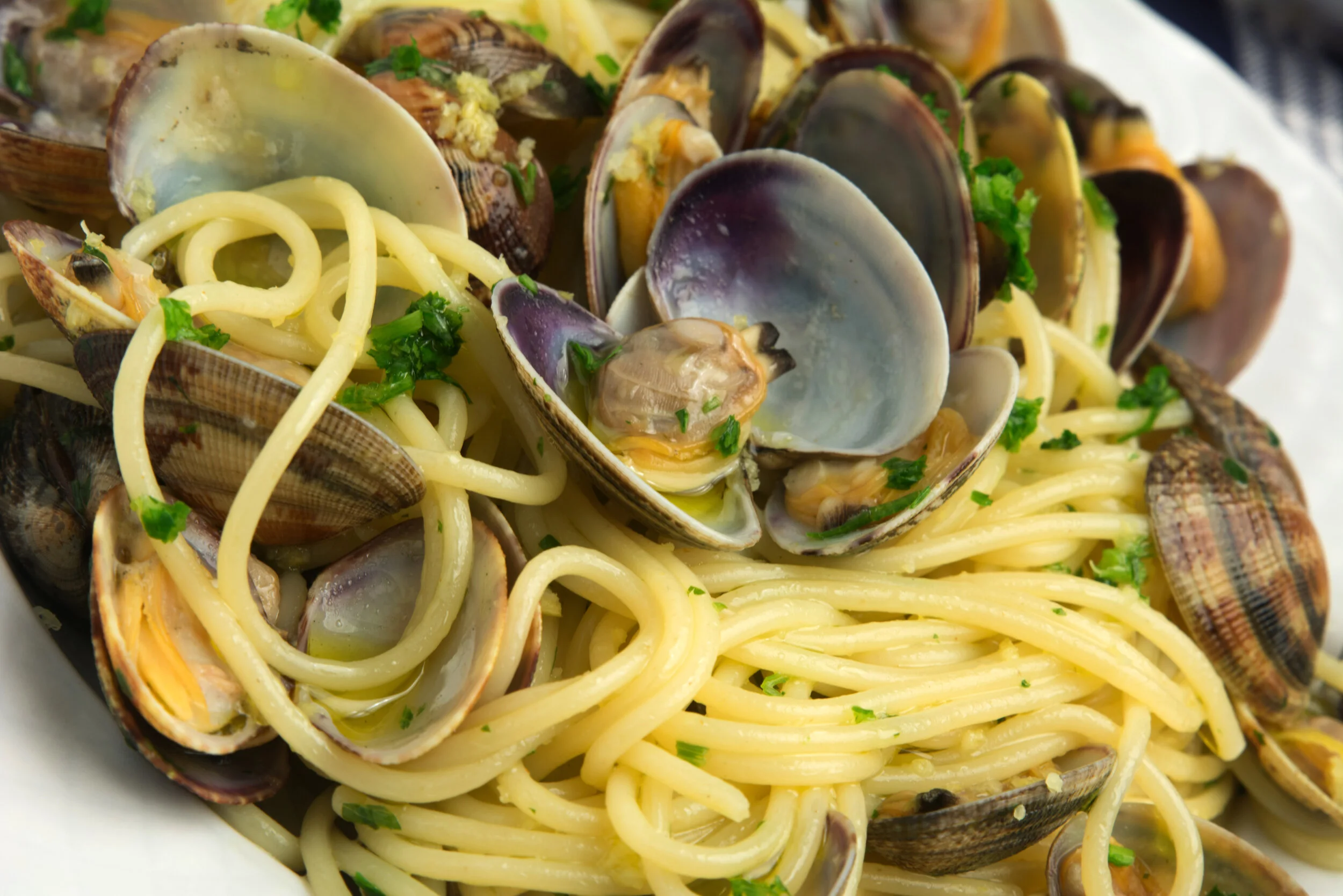 mhg watch clams linguini.jpeg