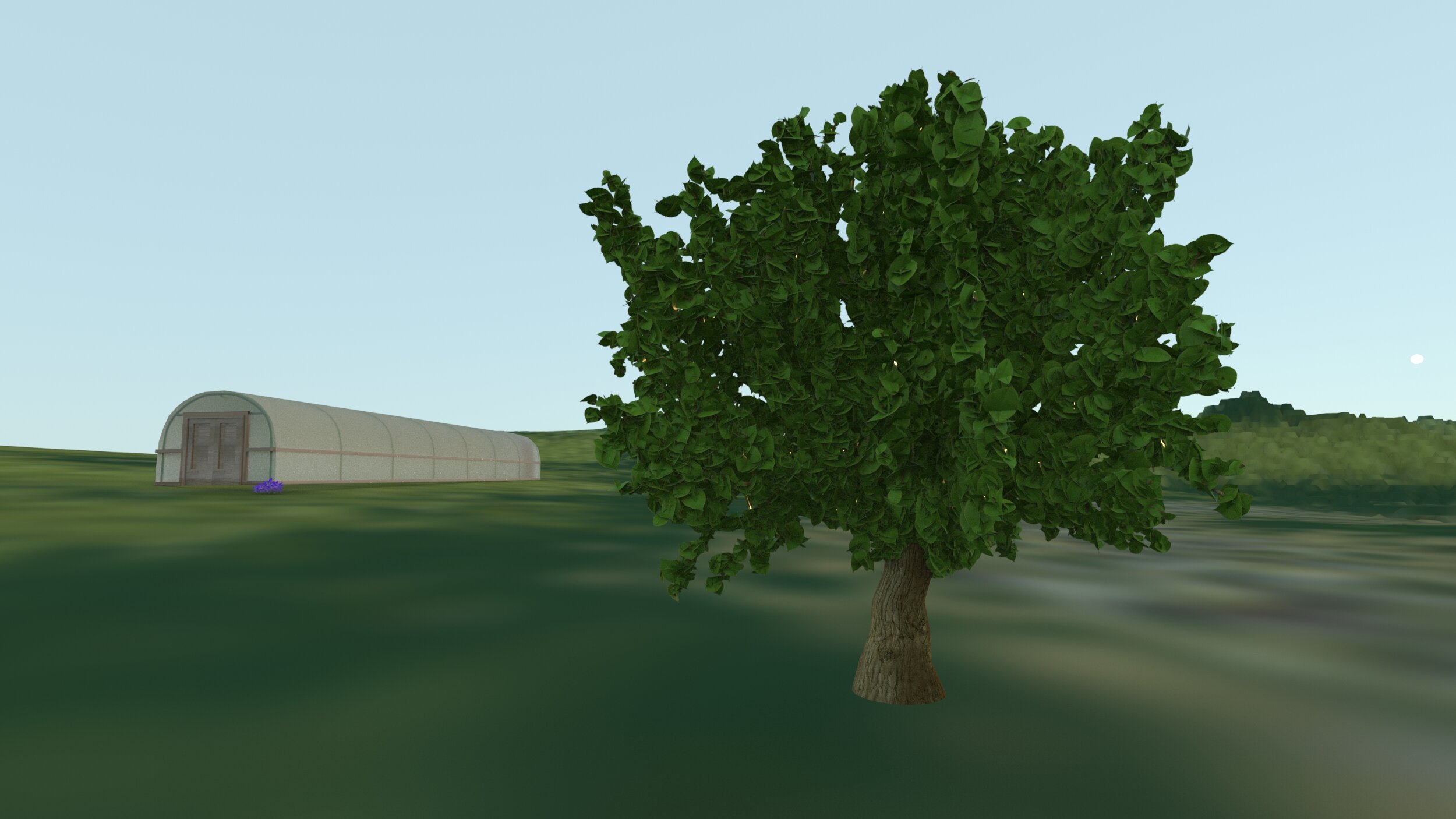 tree.jpg