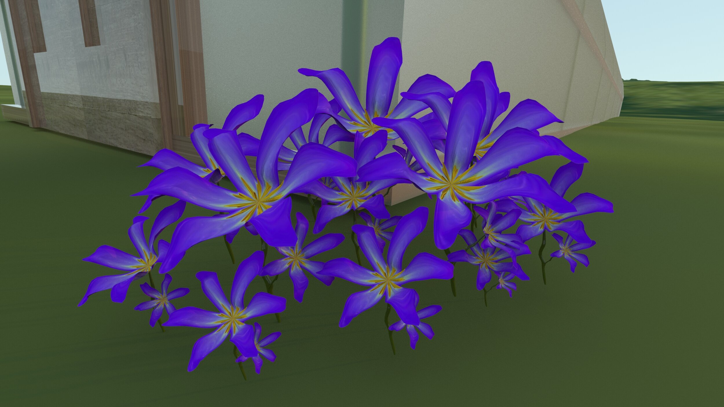 flowers.jpg