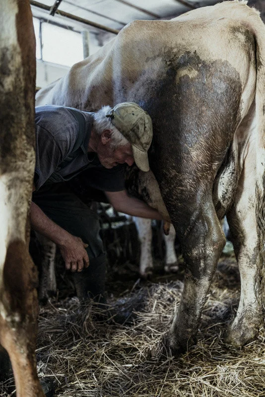  #bauer #farmer #demeter #bio #bioland #biodiversität #biodiversity #fotoreportage #reportage #leica #hasselblad #fotograf #photographer #dokumentation #fotodokumentation #fotografie #baden-württemberg #bw #agenturblumberg #nachhaltigkeit #natur #lan