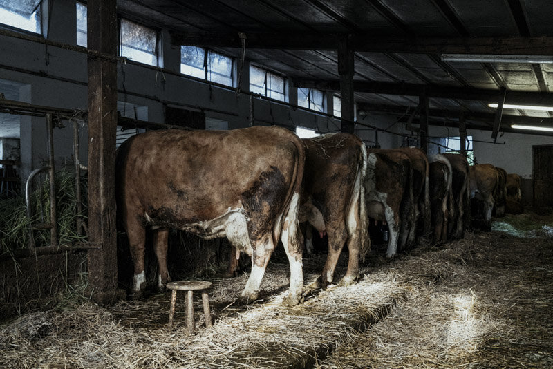  #bauer #farmer #demeter #bio #bioland #biodiversität #biodiversity #fotoreportage #reportage #leica #hasselblad #fotograf #photographer #dokumentation #fotodokumentation #fotografie #baden-württemberg #bw #agenturblumberg #nachhaltigkeit #natur #lan