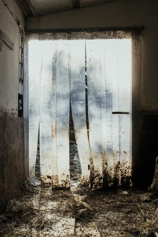  #bauer #farmer #demeter #bio #bioland #biodiversität #biodiversity #fotoreportage #reportage #leica #hasselblad #fotograf #photographer #dokumentation #fotodokumentation #fotografie #baden-württemberg #bw #agenturblumberg #nachhaltigkeit #natur #lan