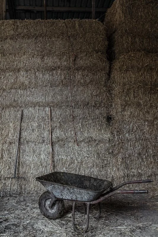  #bauer #farmer #demeter #bio #bioland #biodiversität #biodiversity #fotoreportage #reportage #leica #hasselblad #fotograf #photographer #dokumentation #fotodokumentation #fotografie #baden-württemberg #bw #agenturblumberg #nachhaltigkeit #natur #lan