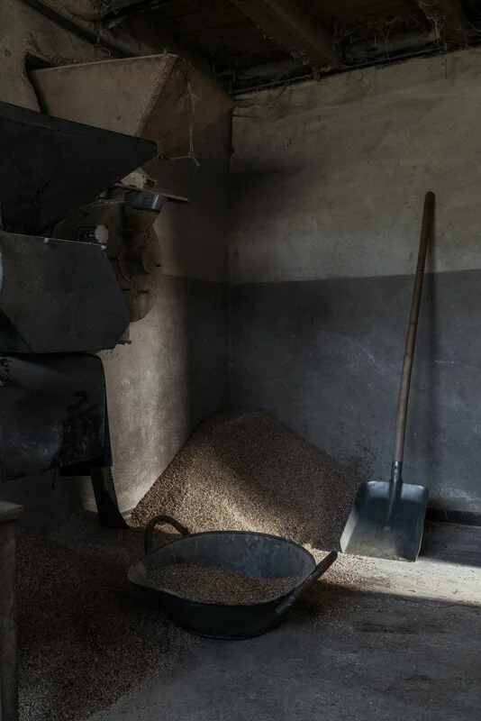  #bauer #farmer #demeter #bio #bioland #biodiversität #biodiversity #fotoreportage #reportage #leica #hasselblad #fotograf #photographer #dokumentation #fotodokumentation #fotografie #baden-württemberg #bw #agenturblumberg #nachhaltigkeit #natur #lan