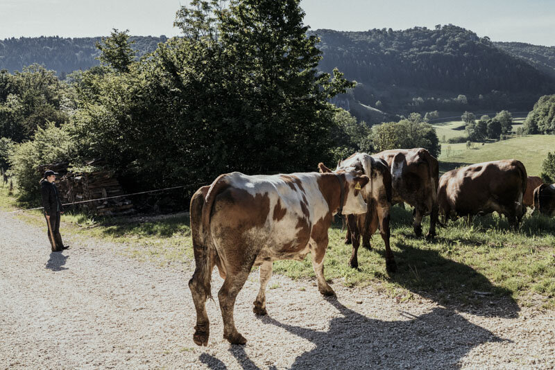  #bauer #farmer #demeter #bio #bioland #biodiversität #biodiversity #fotoreportage #reportage #leica #hasselblad #fotograf #photographer #dokumentation #fotodokumentation #fotografie #baden-württemberg #bw #agenturblumberg #nachhaltigkeit #natur #lan