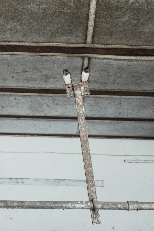  #bauer #farmer #demeter #bio #bioland #biodiversität #biodiversity #fotoreportage #reportage #leica #hasselblad #fotograf #photographer #dokumentation #fotodokumentation #fotografie #baden-württemberg #bw #agenturblumberg #nachhaltigkeit #natur #lan