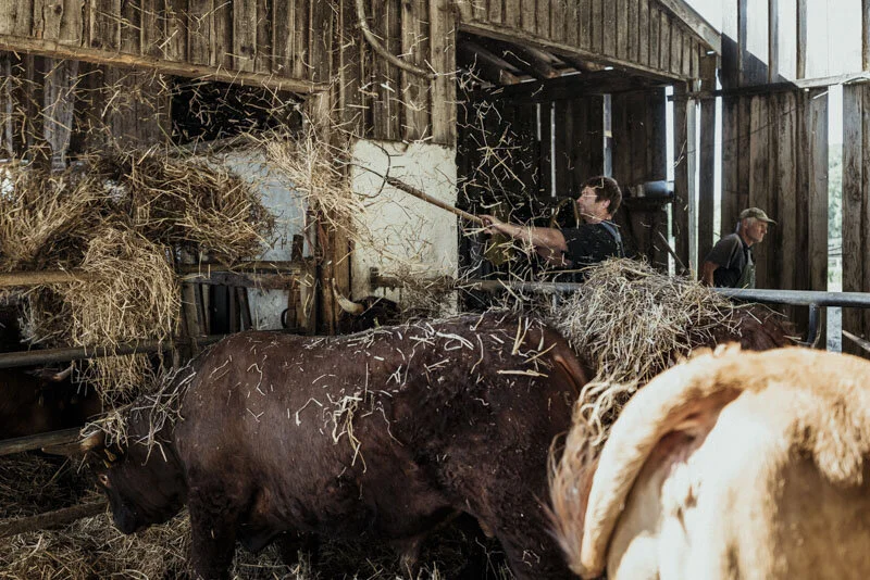  #bauer #farmer #demeter #bio #bioland #biodiversität #biodiversity #fotoreportage #reportage #leica #hasselblad #fotograf #photographer #dokumentation #fotodokumentation #fotografie #baden-württemberg #bw #agenturblumberg #nachhaltigkeit #natur #lan