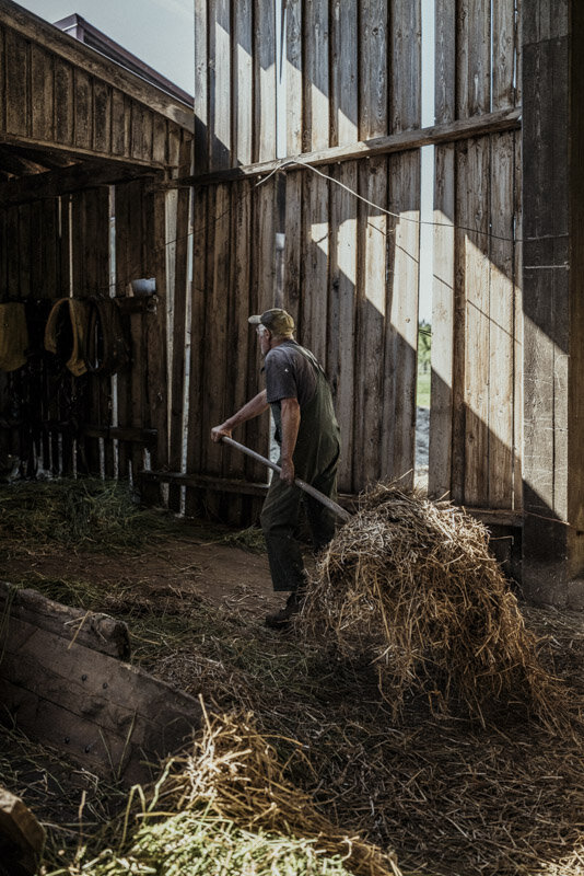  #bauer #farmer #demeter #bio #bioland #biodiversität #biodiversity #fotoreportage #reportage #leica #hasselblad #fotograf #photographer #dokumentation #fotodokumentation #fotografie #baden-württemberg #bw #agenturblumberg #nachhaltigkeit #natur #lan