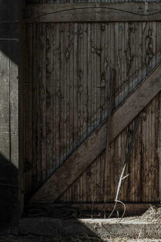  #bauer #farmer #demeter #bio #bioland #biodiversität #biodiversity #fotoreportage #reportage #leica #hasselblad #fotograf #photographer #dokumentation #fotodokumentation #fotografie #baden-württemberg #bw #agenturblumberg #nachhaltigkeit #natur #lan