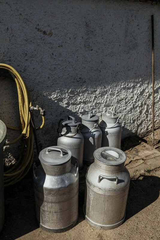  #bauer #farmer #demeter #bio #bioland #biodiversität #biodiversity #fotoreportage #reportage #leica #hasselblad #fotograf #photographer #dokumentation #fotodokumentation #fotografie #baden-württemberg #bw #agenturblumberg #nachhaltigkeit #natur #lan