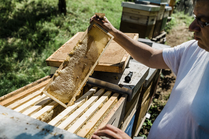 #beekeeper #imker #honig #esslingen #badenwürttemberg #bw #reportage #fotograf #maximiliankamps #stuttgart #0711 #demeter #bio #bioland #biodiversität #biodiversity #agenturblumberg #photographer #honey #morethanhoney 
